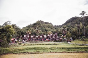 木々に囲まれたインドネシアの建物写真 