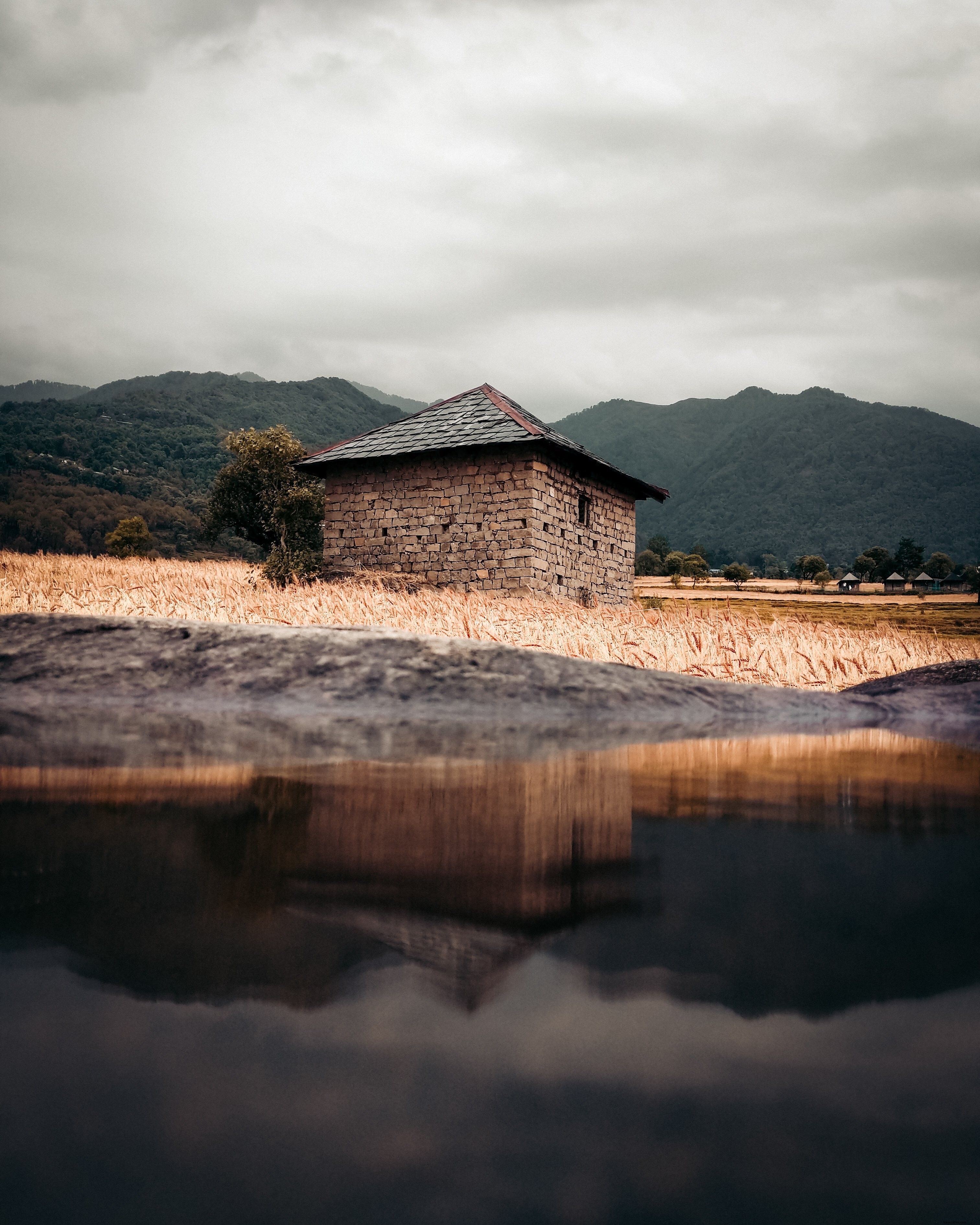 Cabina nella natura selvaggia foto 