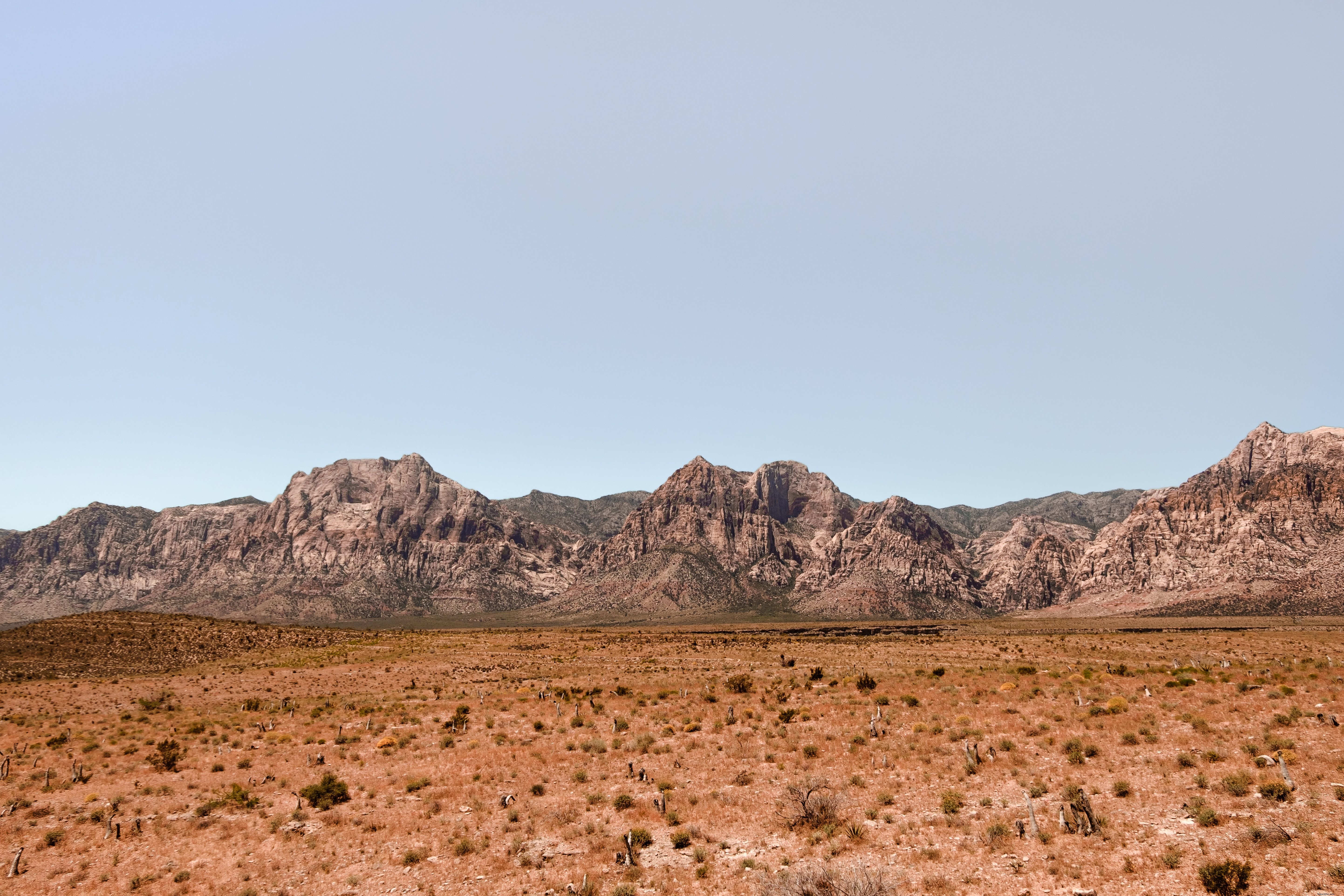 Paysage d herbe brune avec photo des montagnes Rocheuses 