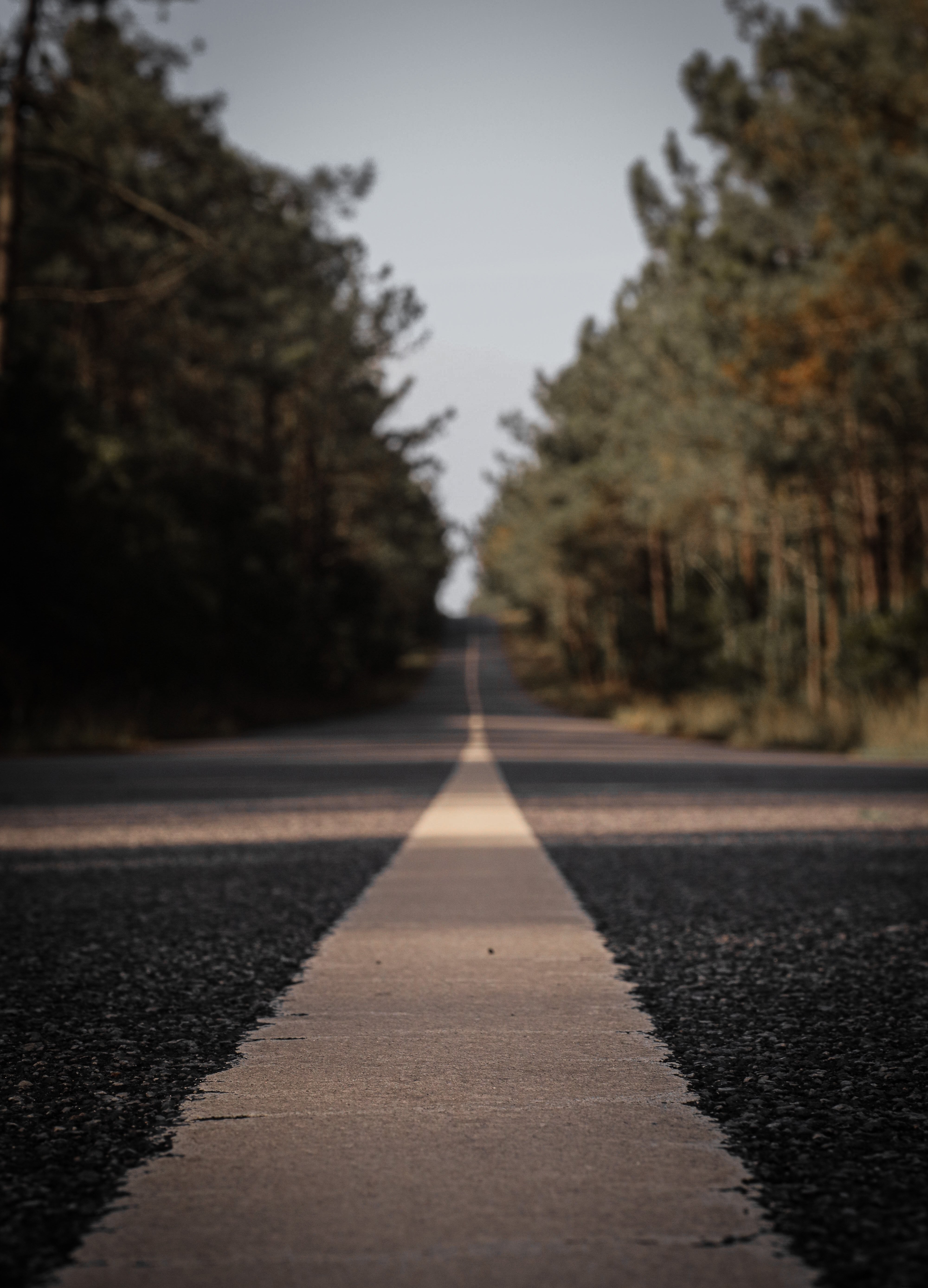 Mire hacia la línea blanca de una foto de una carretera pavimentada 