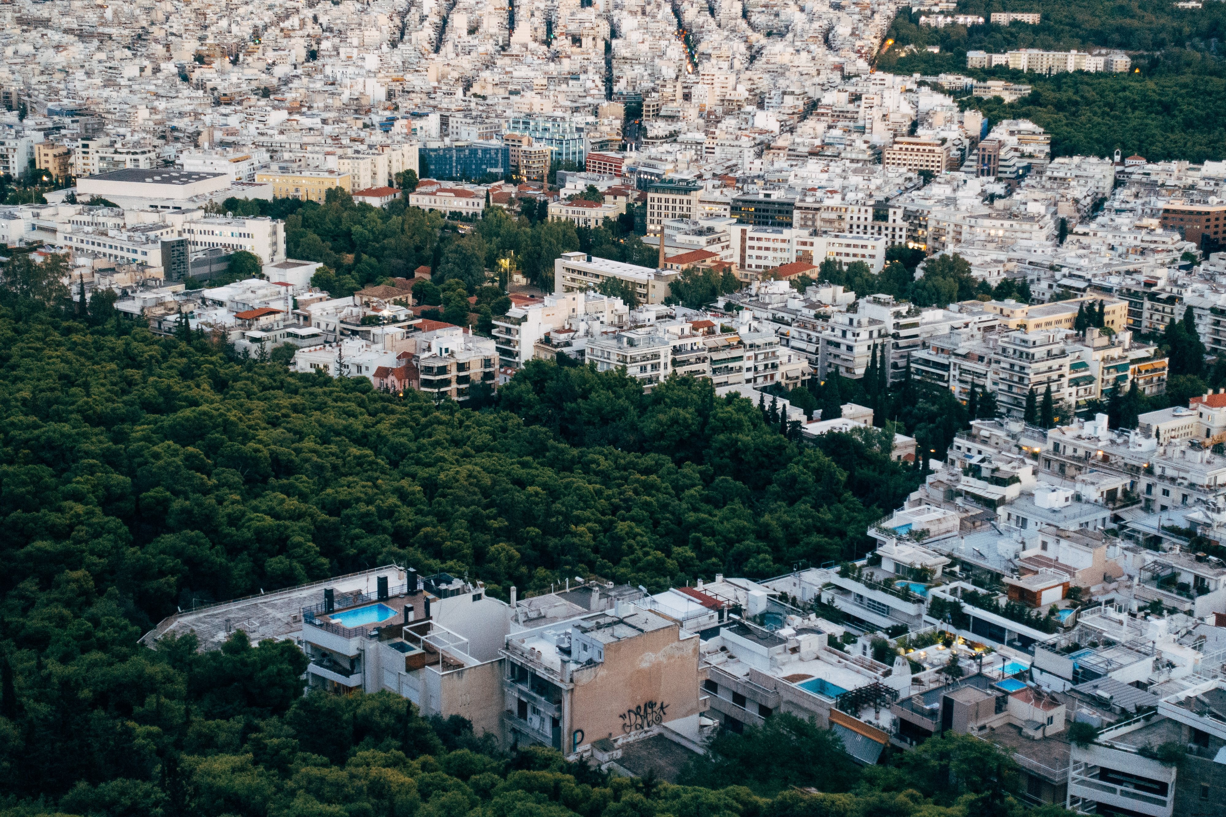 Donde el bosque y la ciudad se encuentran Foto 