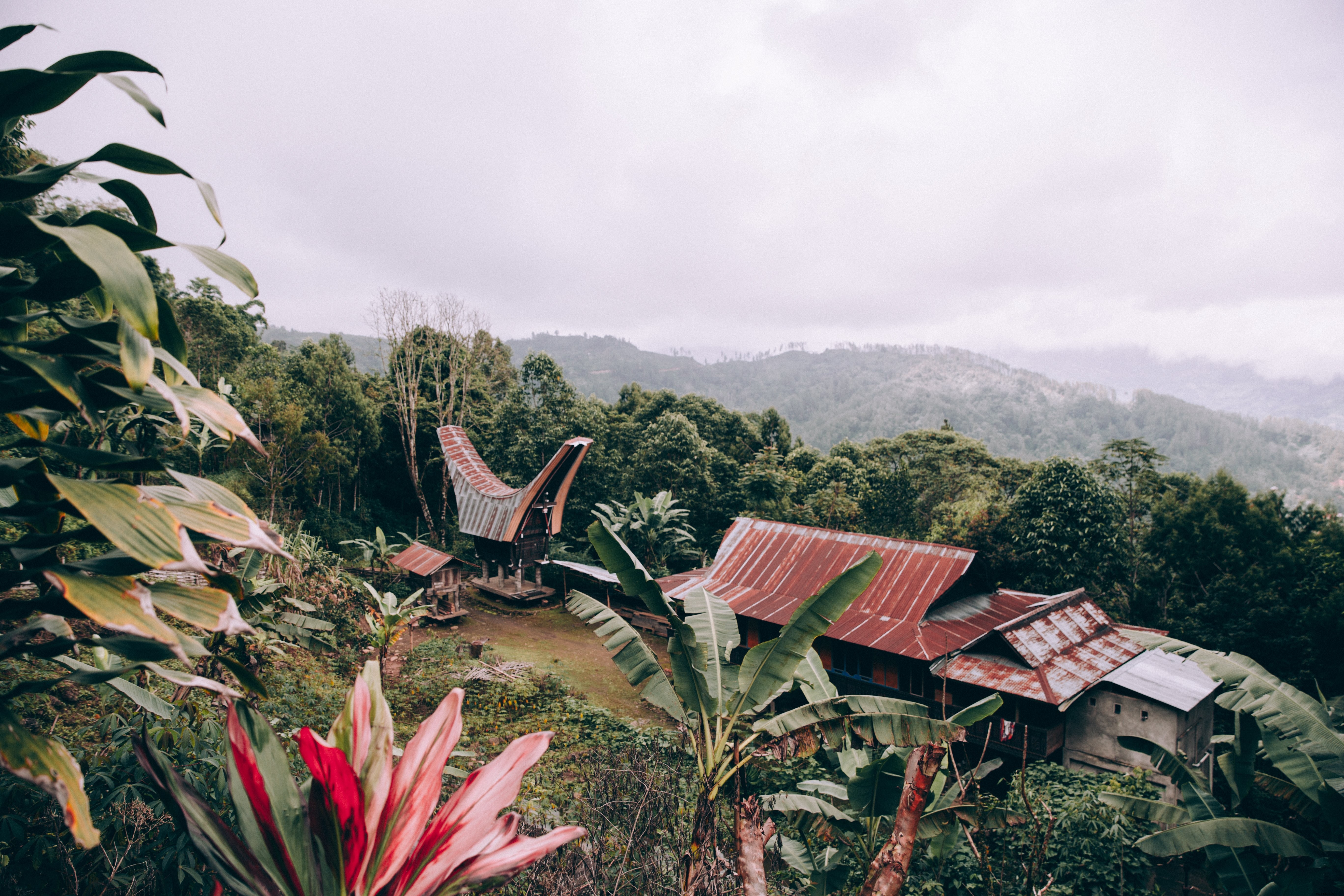 熱帯の花とヤシの木がインドネシアの寺院の写真を見下ろす 