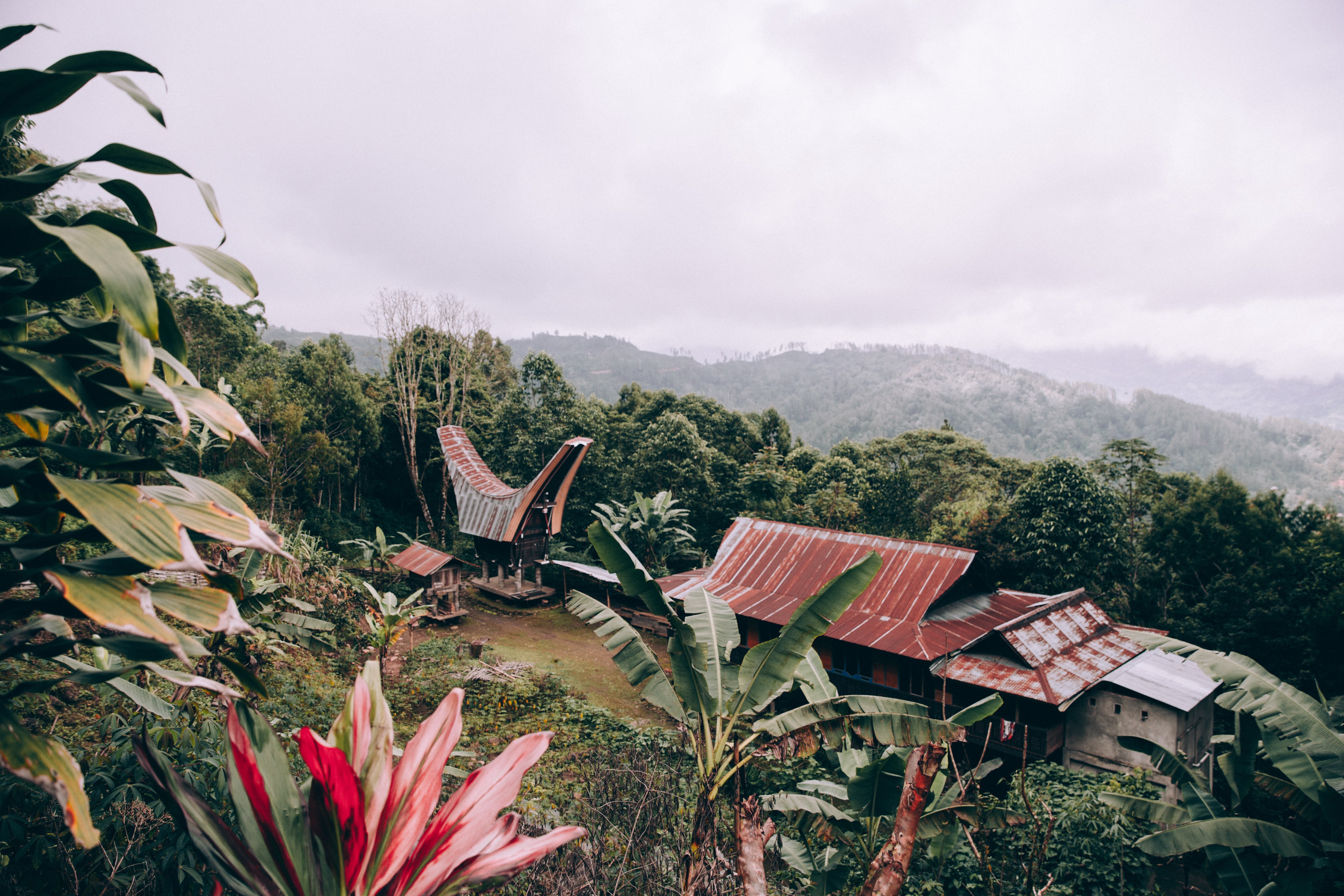 Flores tropicales y palmeras con vista al templo de Indonesia Foto 