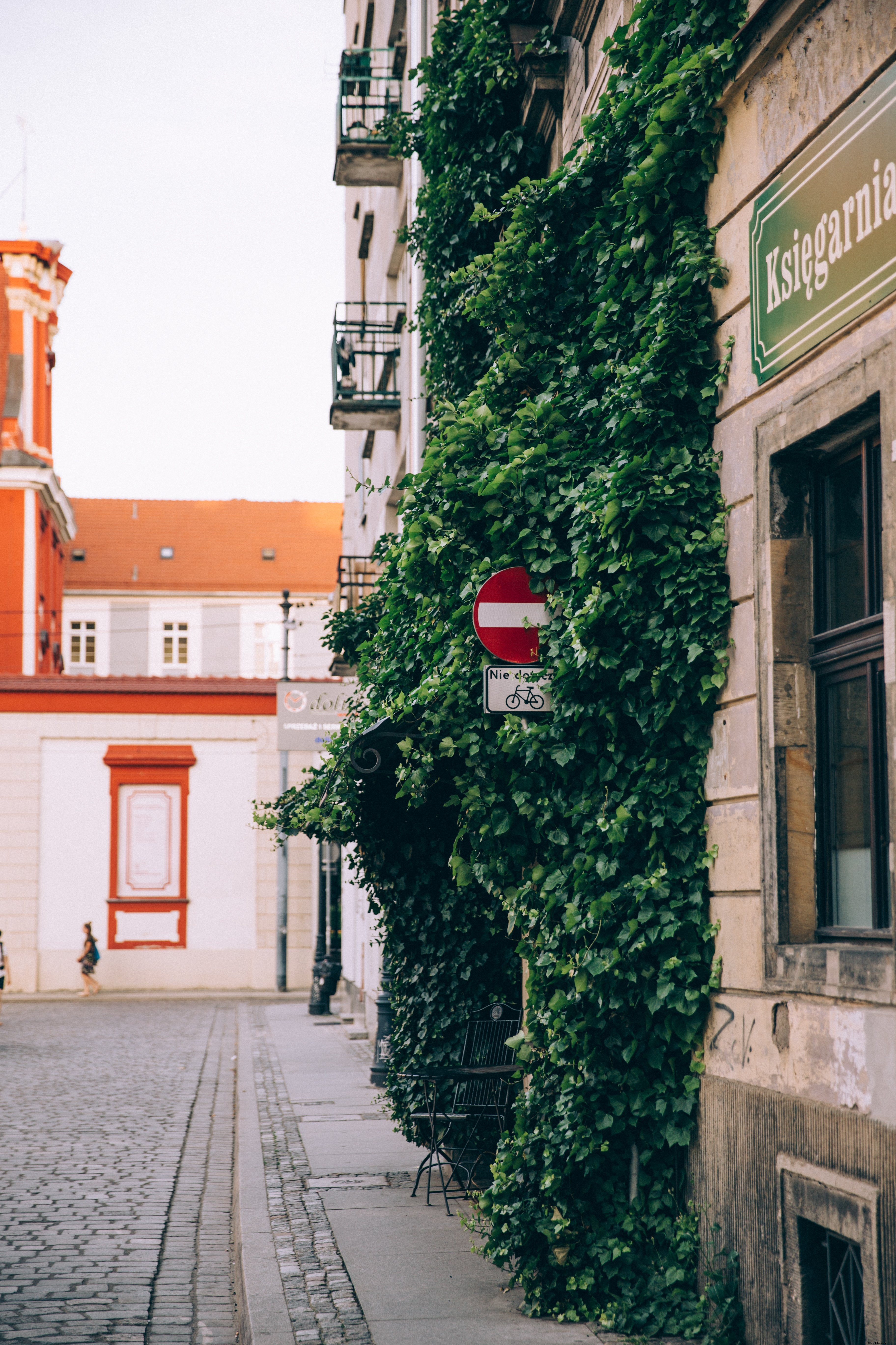 Foto de un edificio Shabby-Chic cubierto de hiedra 