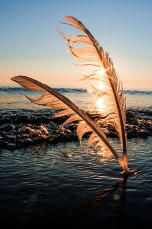 El sol sale detrás de dos plumas en la foto de la arena 
