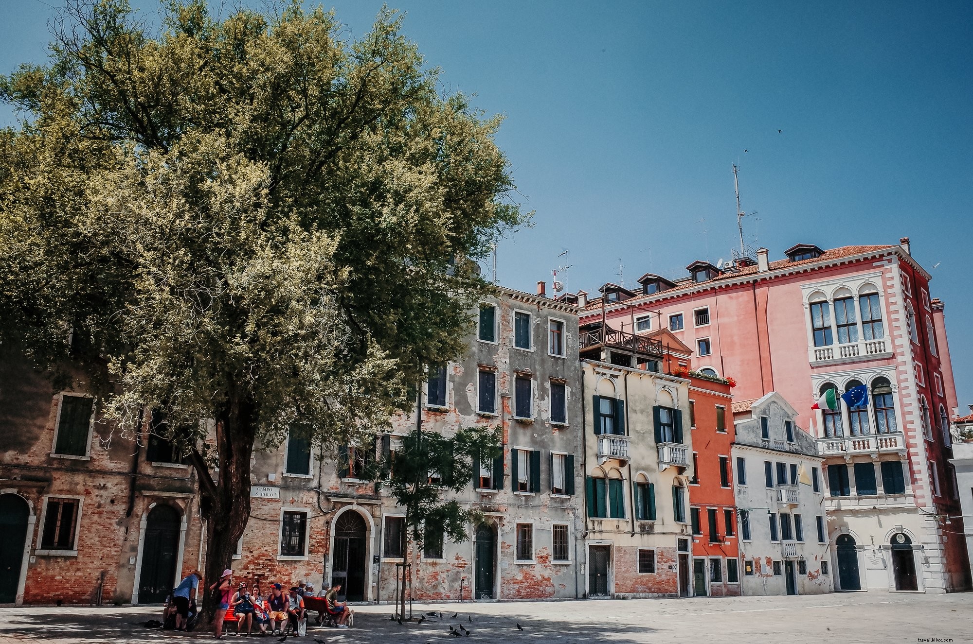 La gente en un banco debajo de un árbol en una foto de la calle 