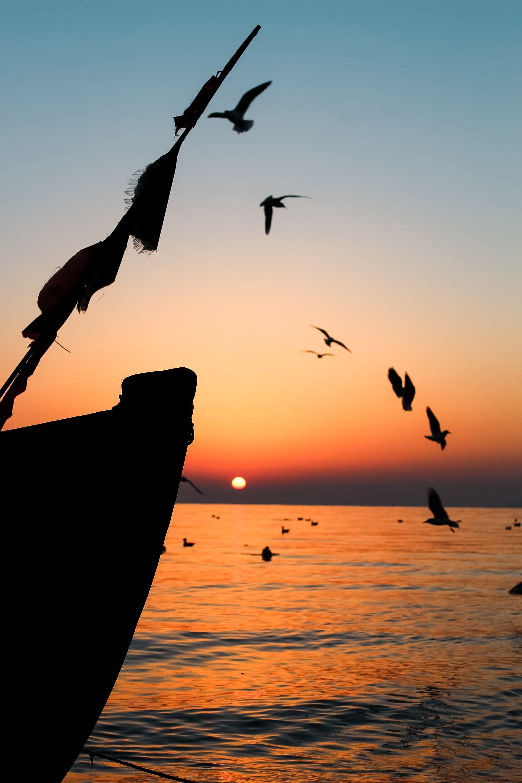 Foto de pássaros e barcos ao nascer do sol 