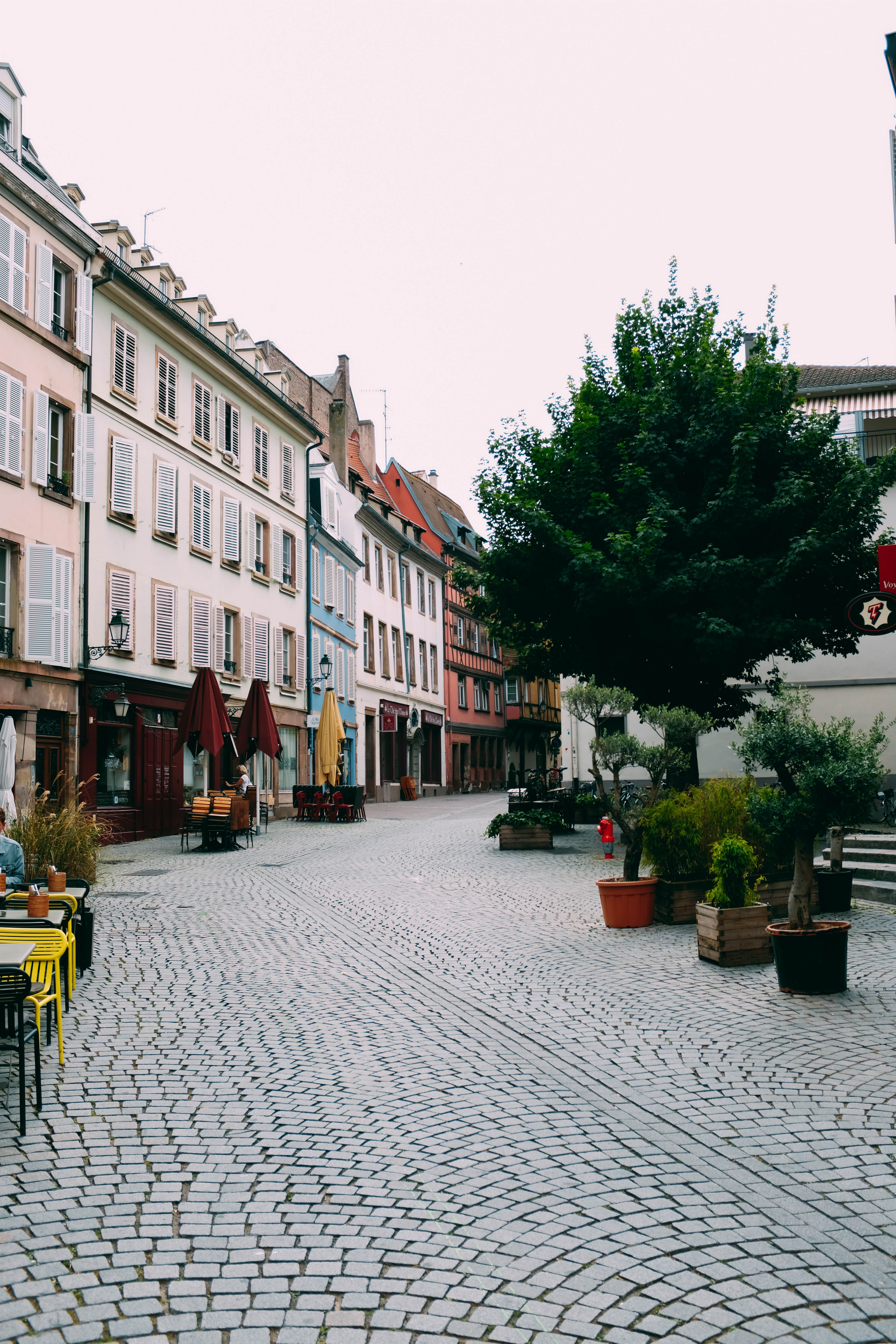 Mesas de cafés e uma linha de árvores em uma rua de paralelepípedos Foto 