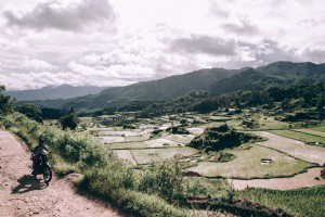 田んぼでいっぱいの日当たりの良いインドネシアの谷写真 
