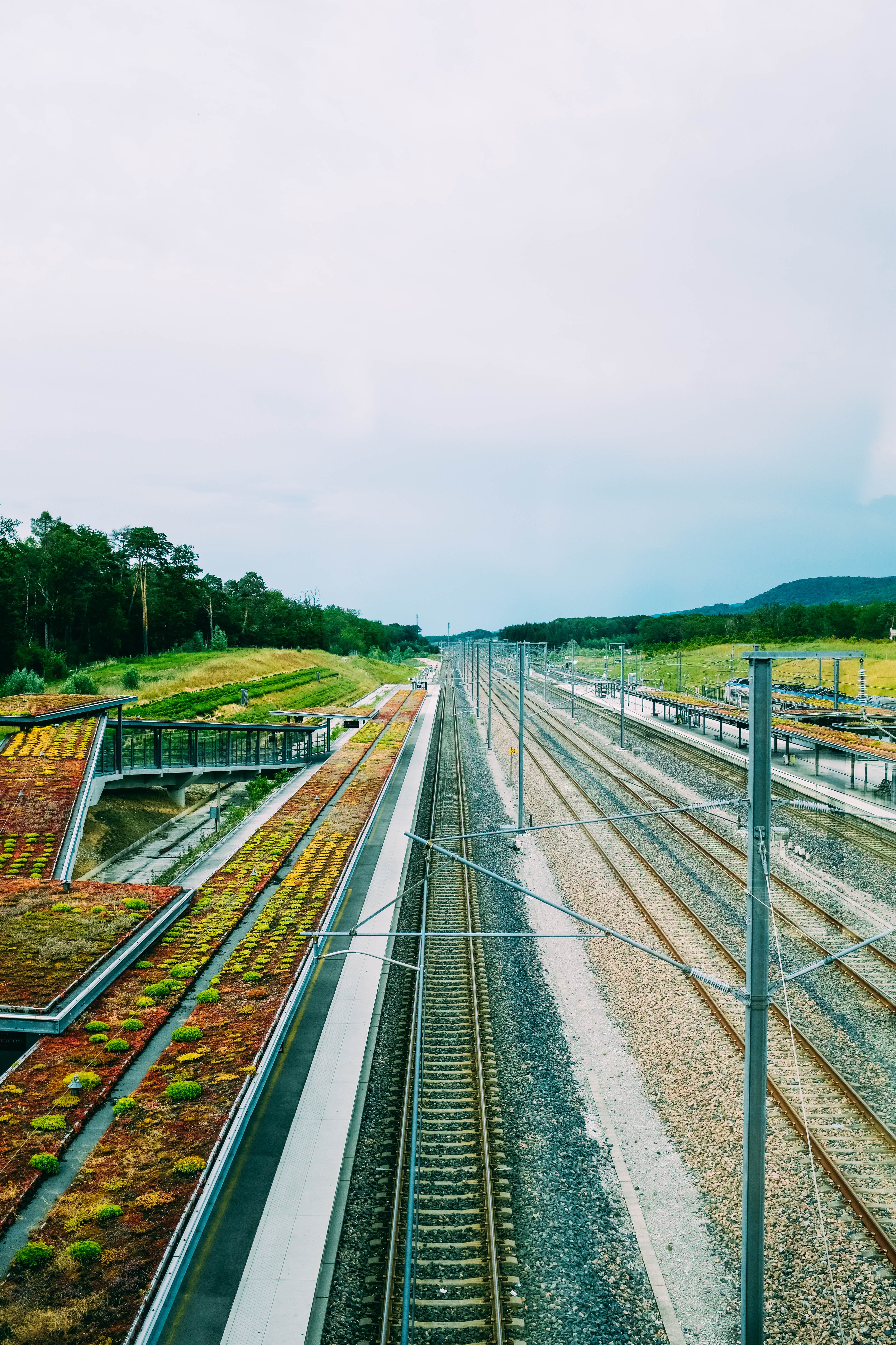 Foto de trilhos de trem nus desaparecem na distância 