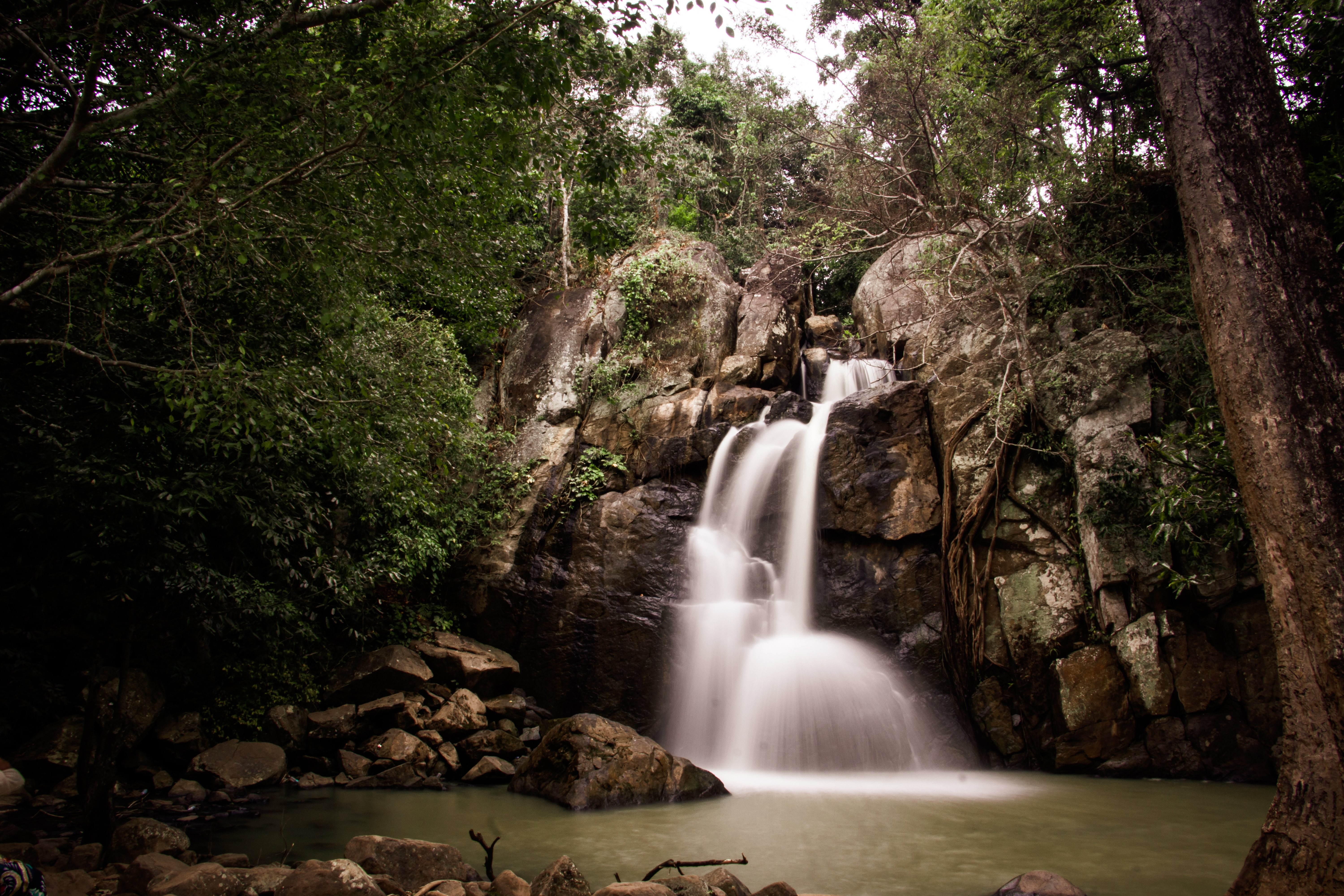 air terjun dan hutan rimbun di atas air tenang Foto 