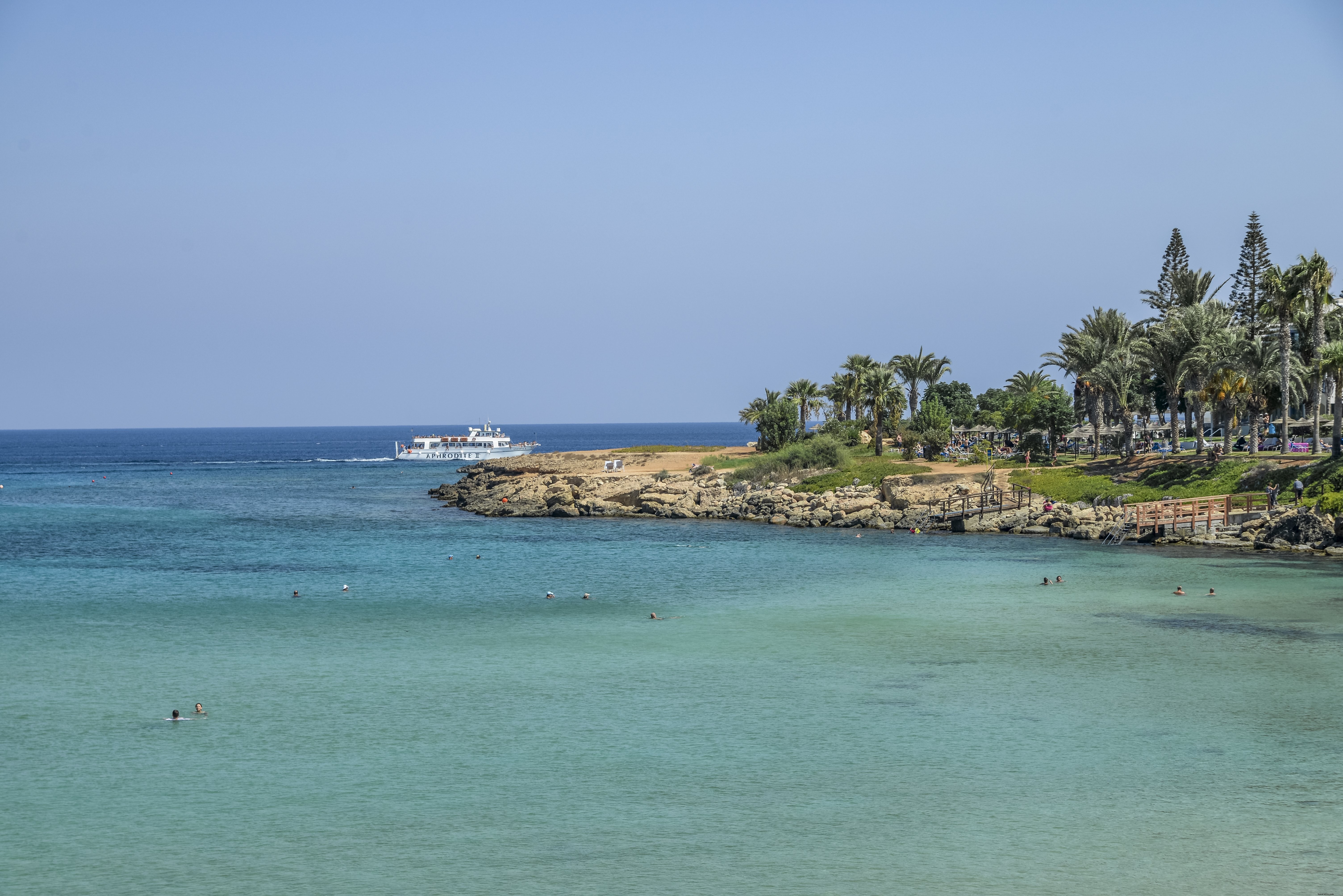 Eau avec des palmiers et une photo de rivage rocheux 