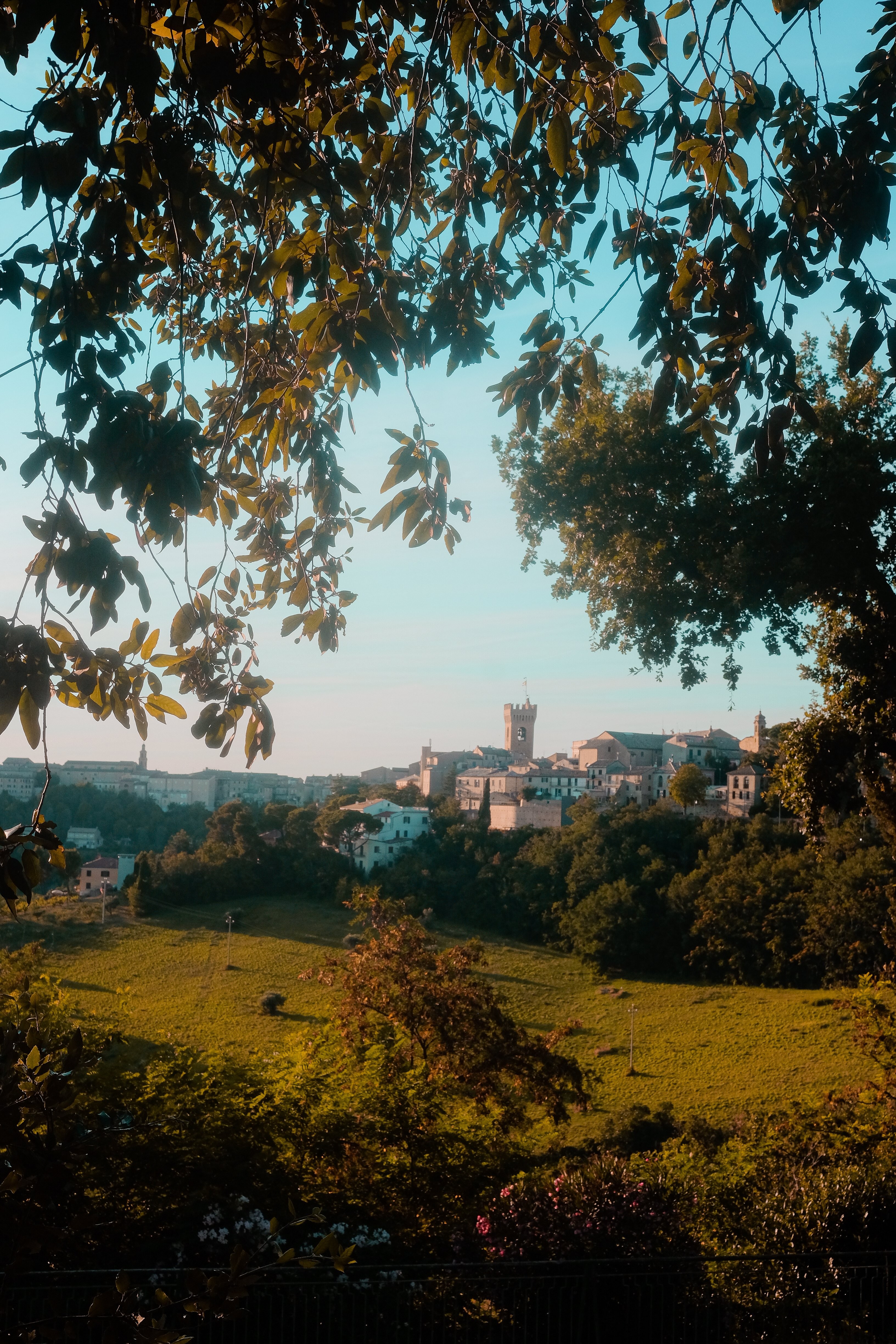 Foglie verdi incorniciano la vista di un castello foto 