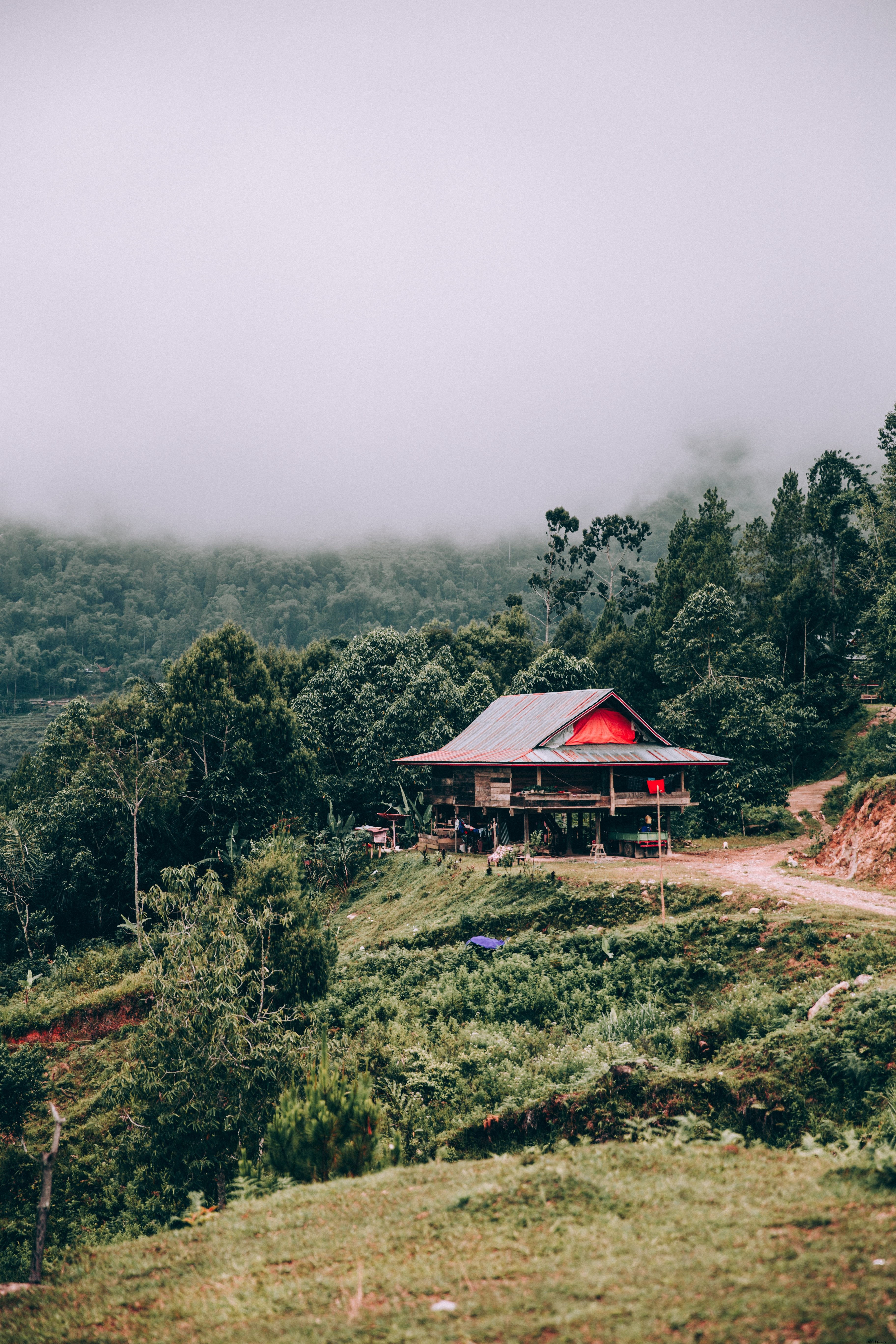 Rumah Terbuka Besar Sepanjang Tepi Hutan Foto 