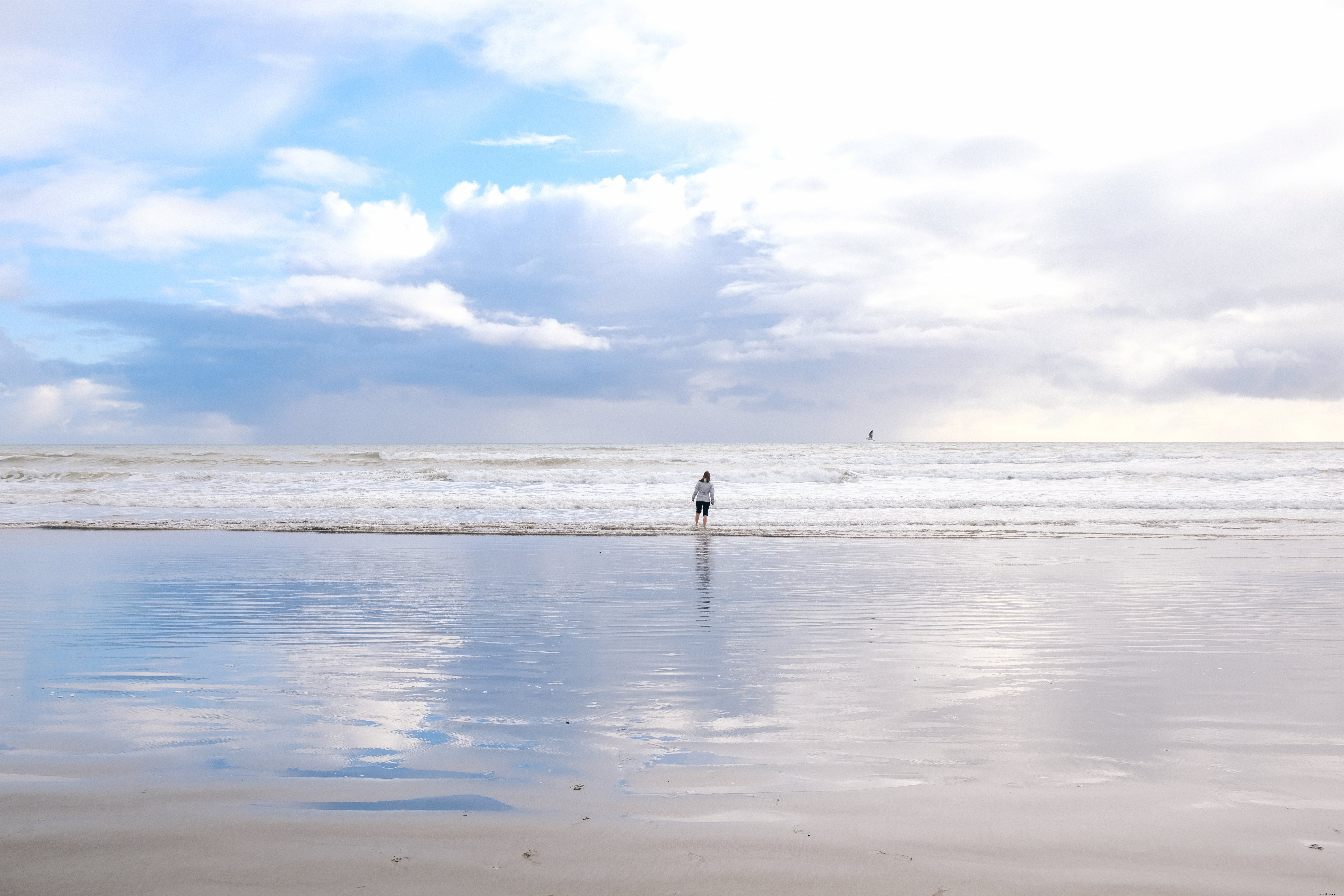女性はビーチで水の中を歩く写真 