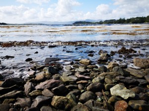 Burbuja de olas sobre piedras de la orilla del río Photo 