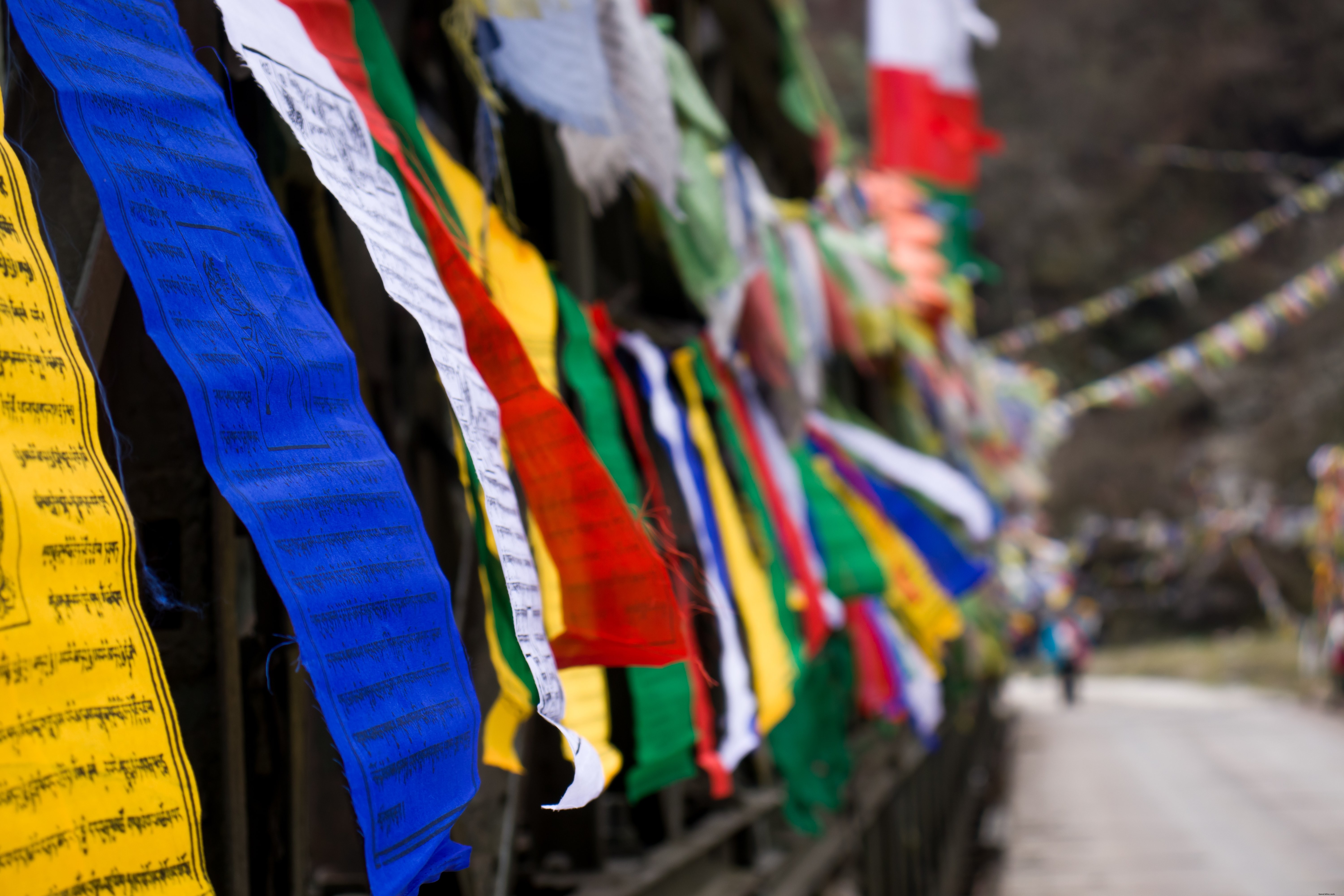 Algunas banderas de colores alinean una foto de cerca 