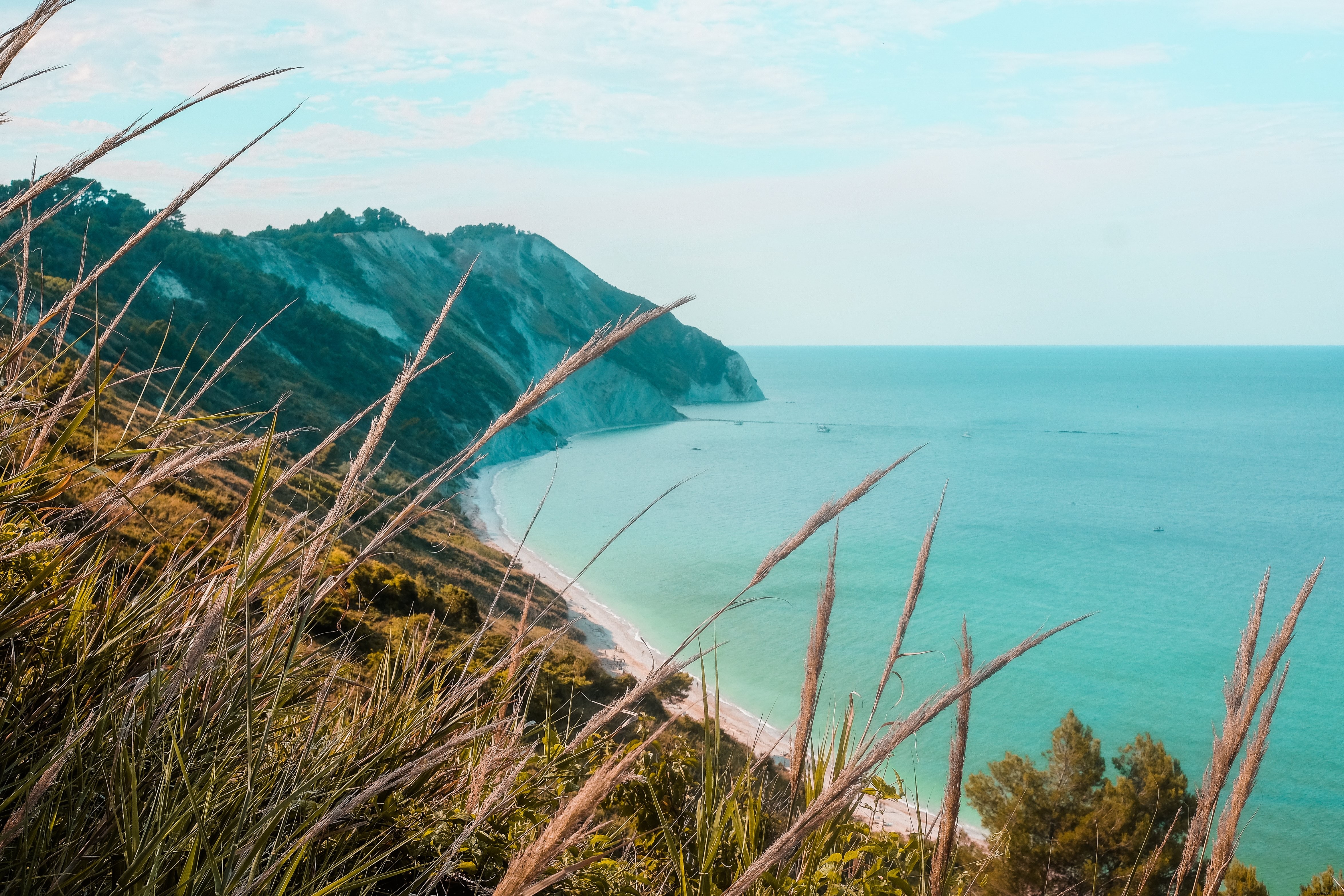 Herbe sauvage sur une plage côtière de l océan Photo 