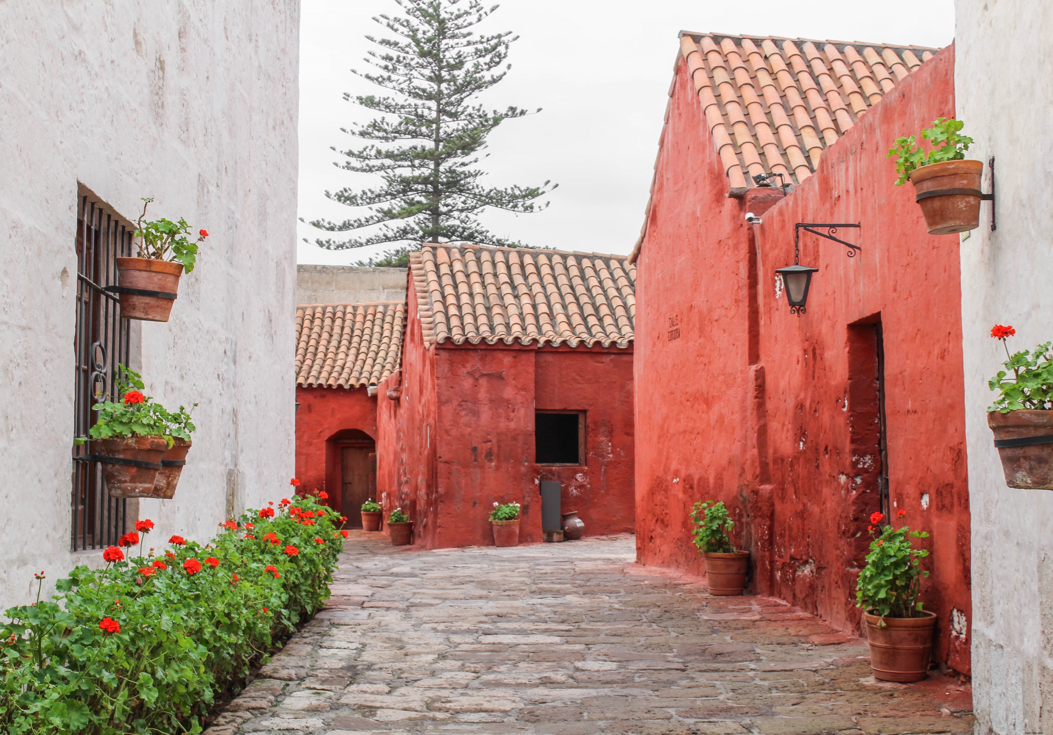 Foto de edificios naranjas con techo de terracota 