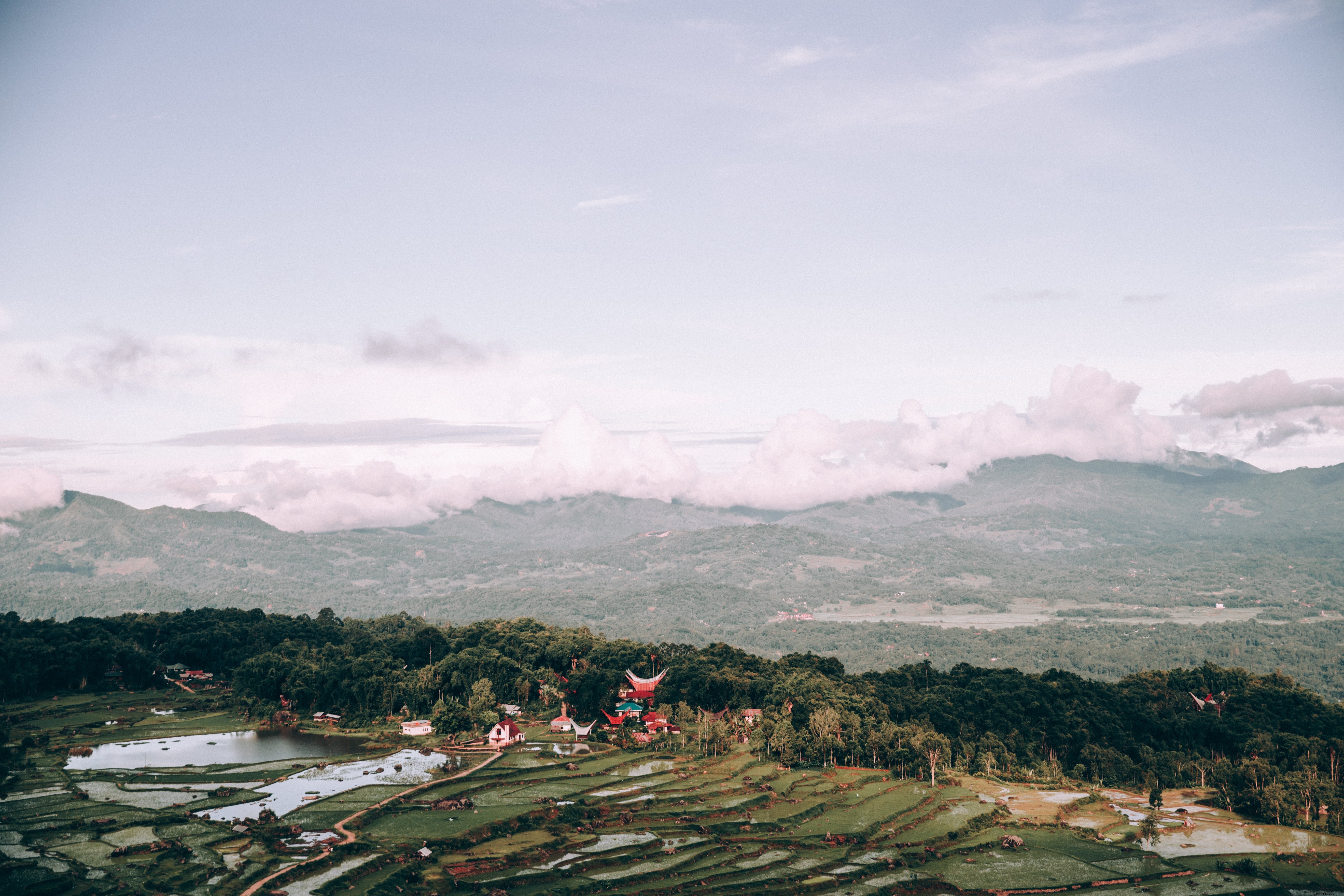 田んぼと寺院の写真で覆われたインドネシアの風景 