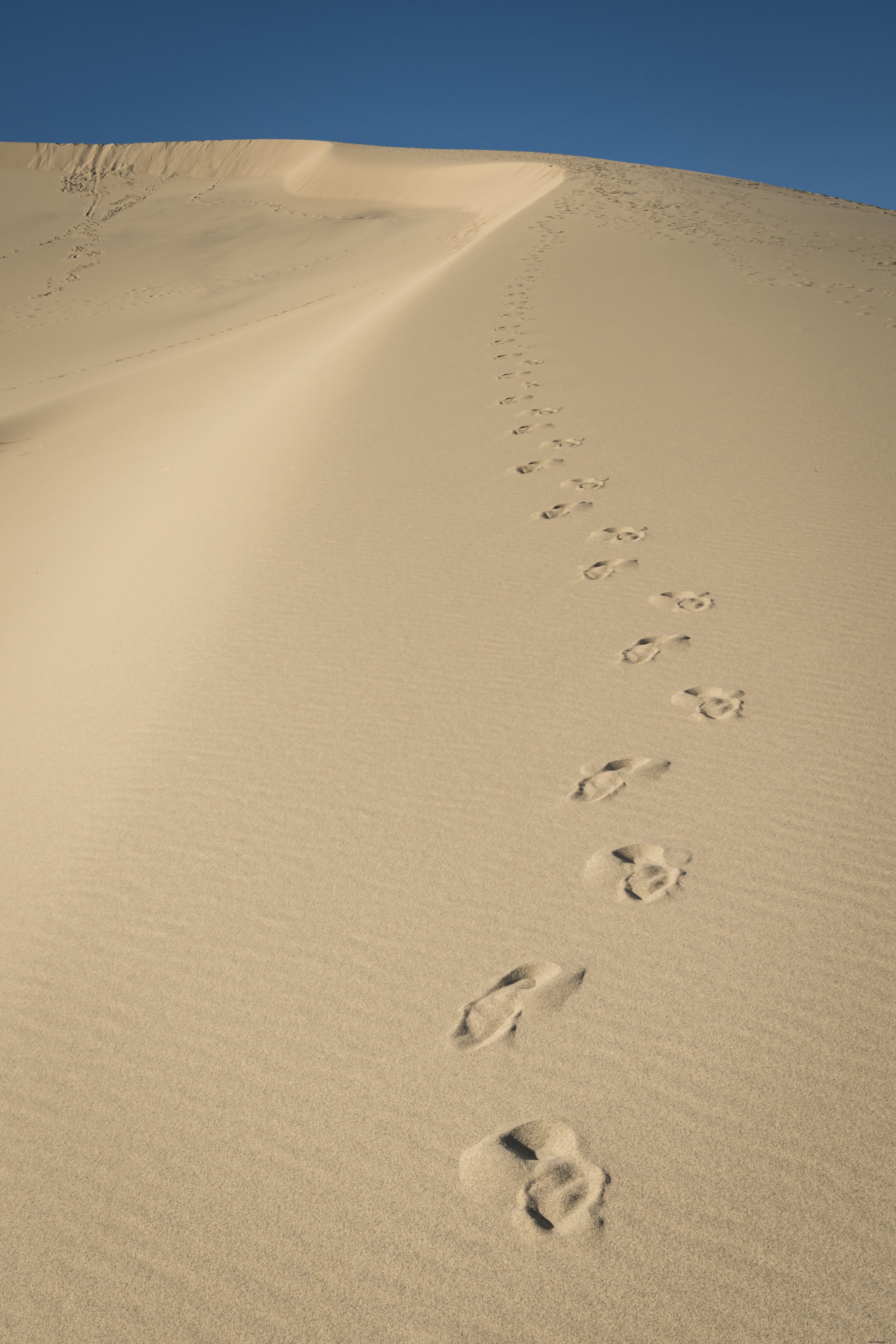 Traces abandonnées le long d une photo de dune 