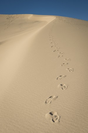 砂丘の写真に沿って放棄された足跡 