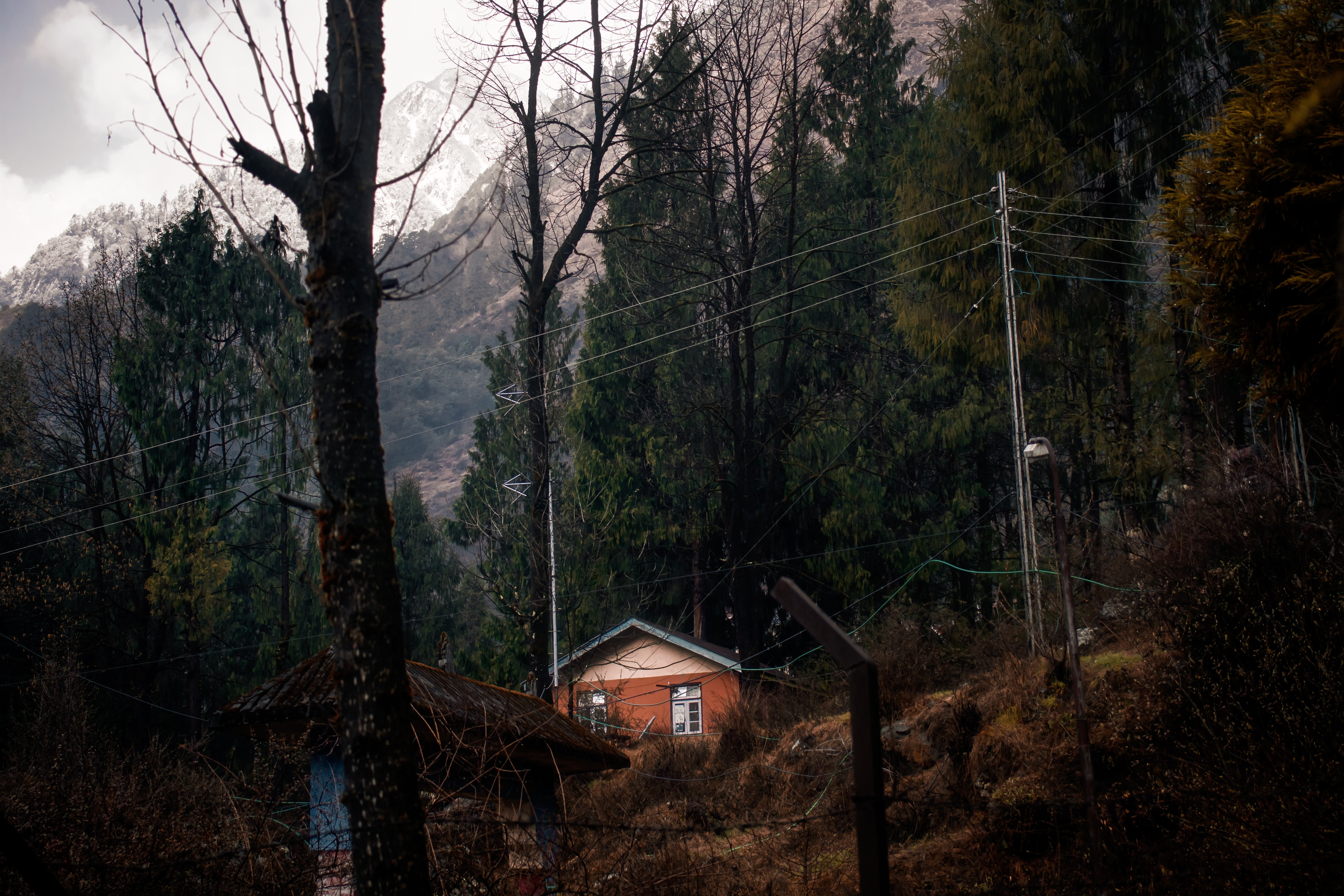 Foto de uma casa laranja cercada por árvores 
