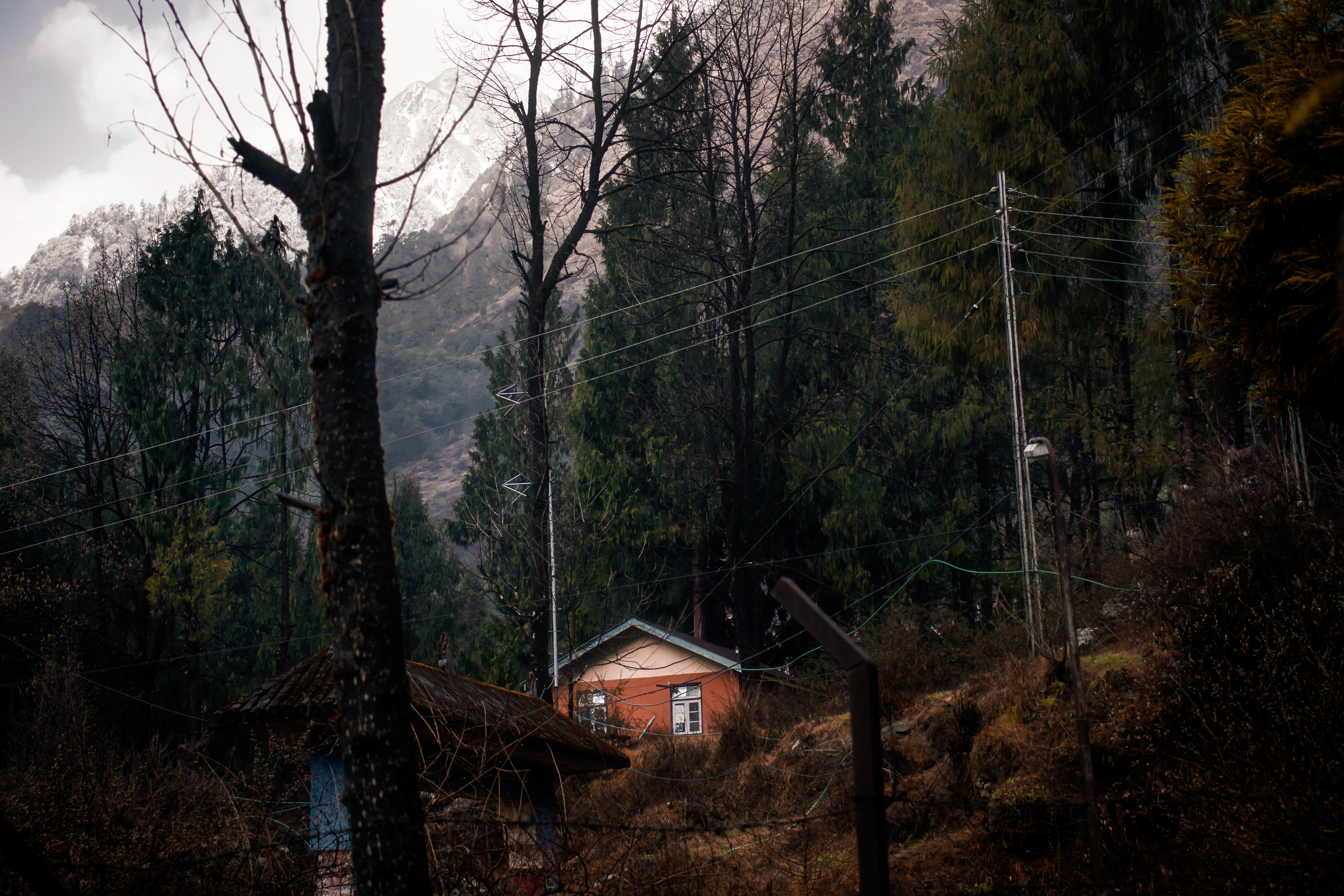 Une maison orange entourée d arbres Photo 