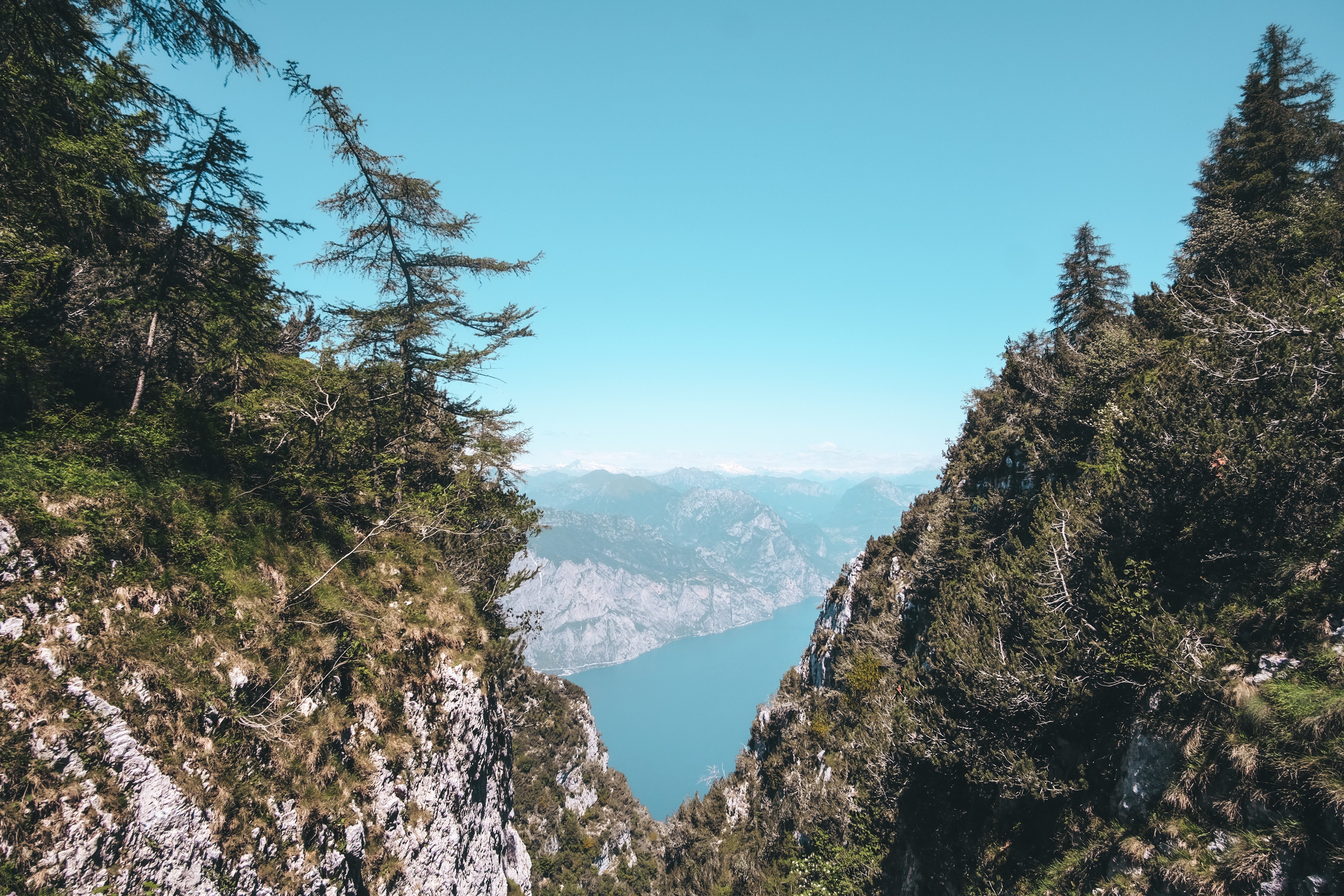 View Through Moss Covered Mountains Foto 