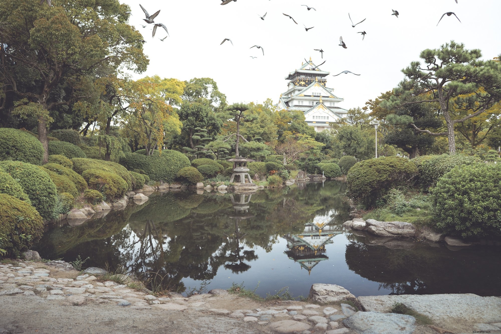 Lagoa ladeada de pedras e árvores reflete a foto de um prédio alto branco e dourado 