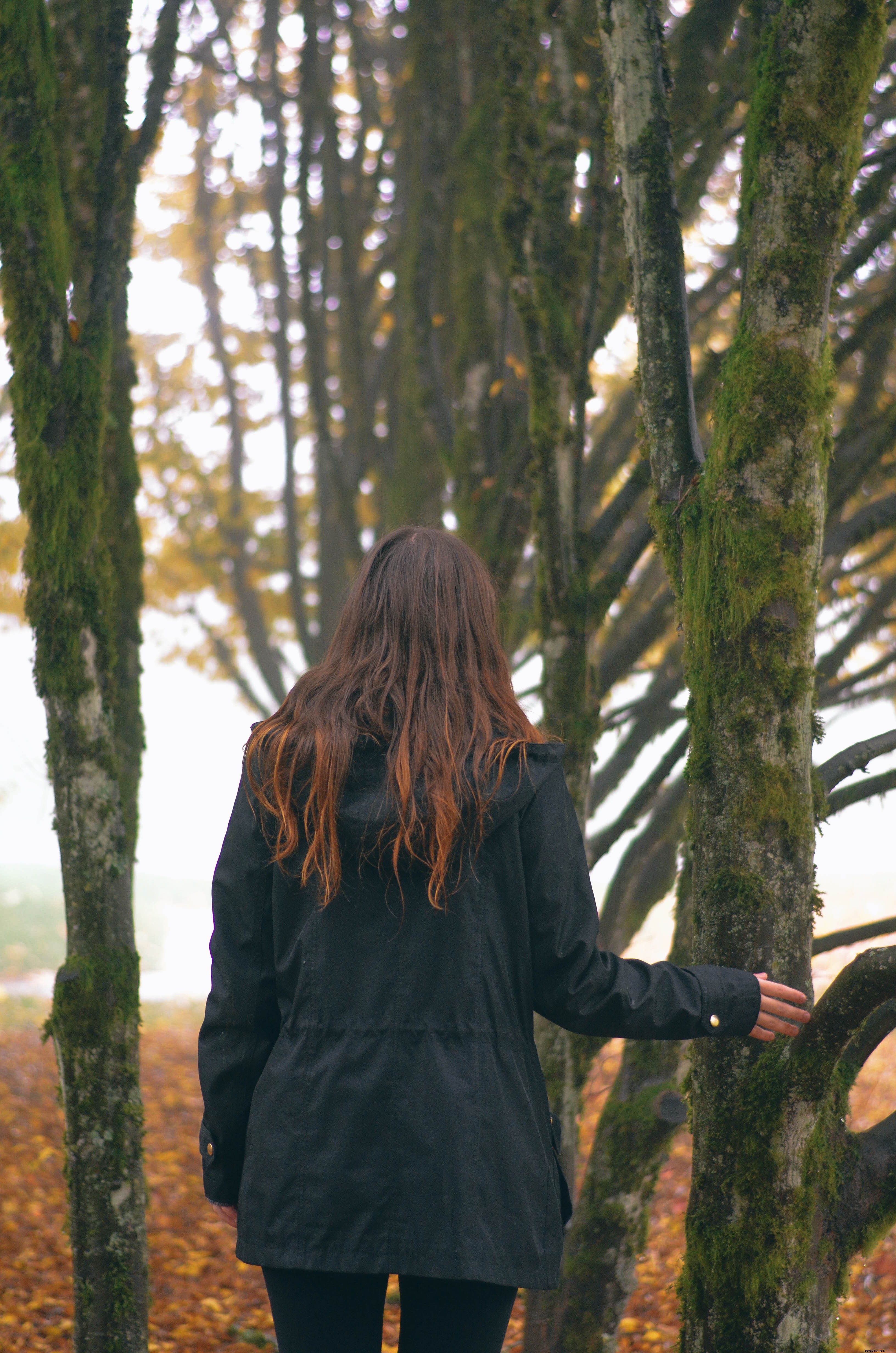 La persona guarda la foto di alberi coperti di muschio 