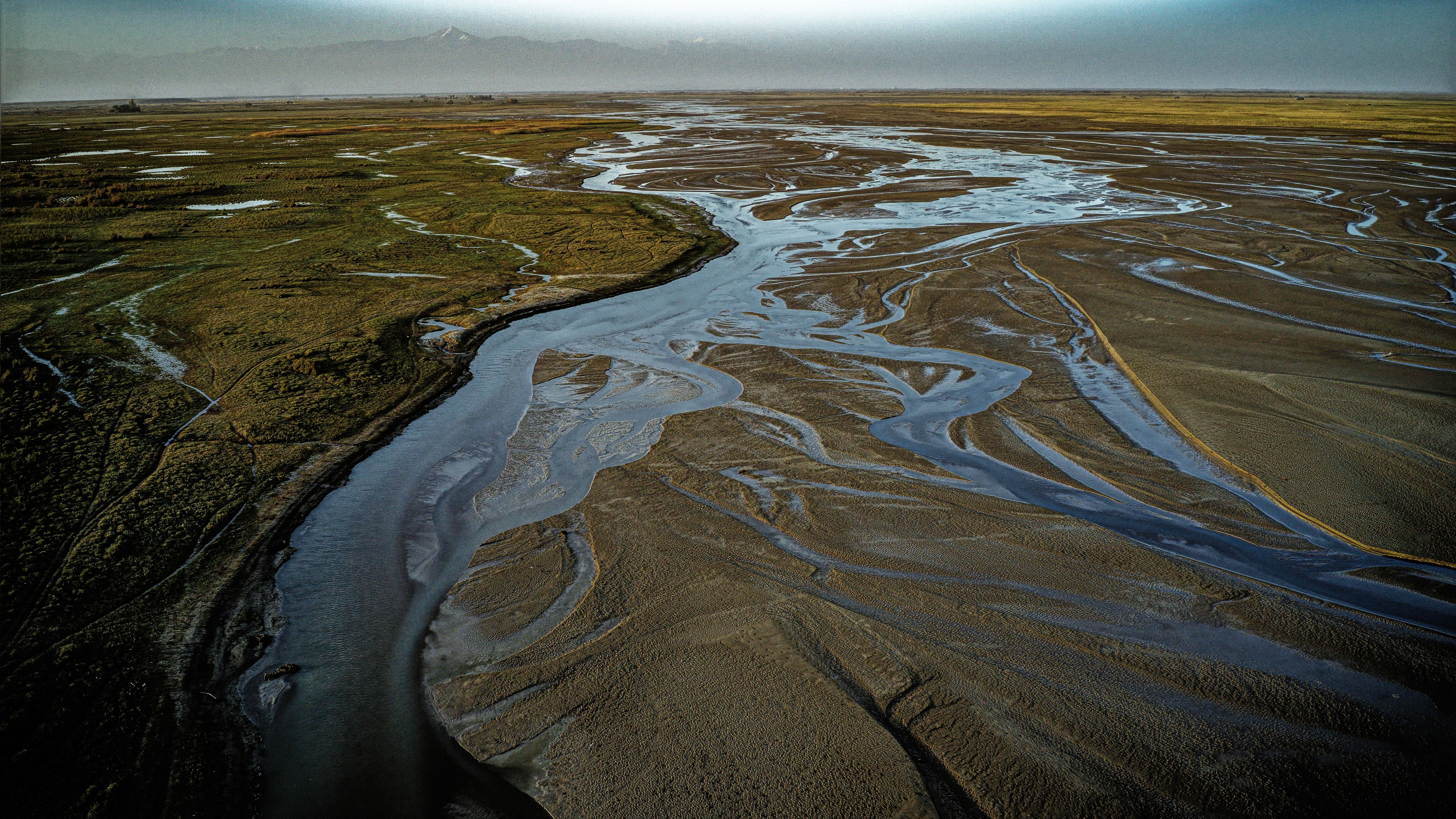 Vue aérienne des rivières qui coulent à travers la photo de paysage vert 