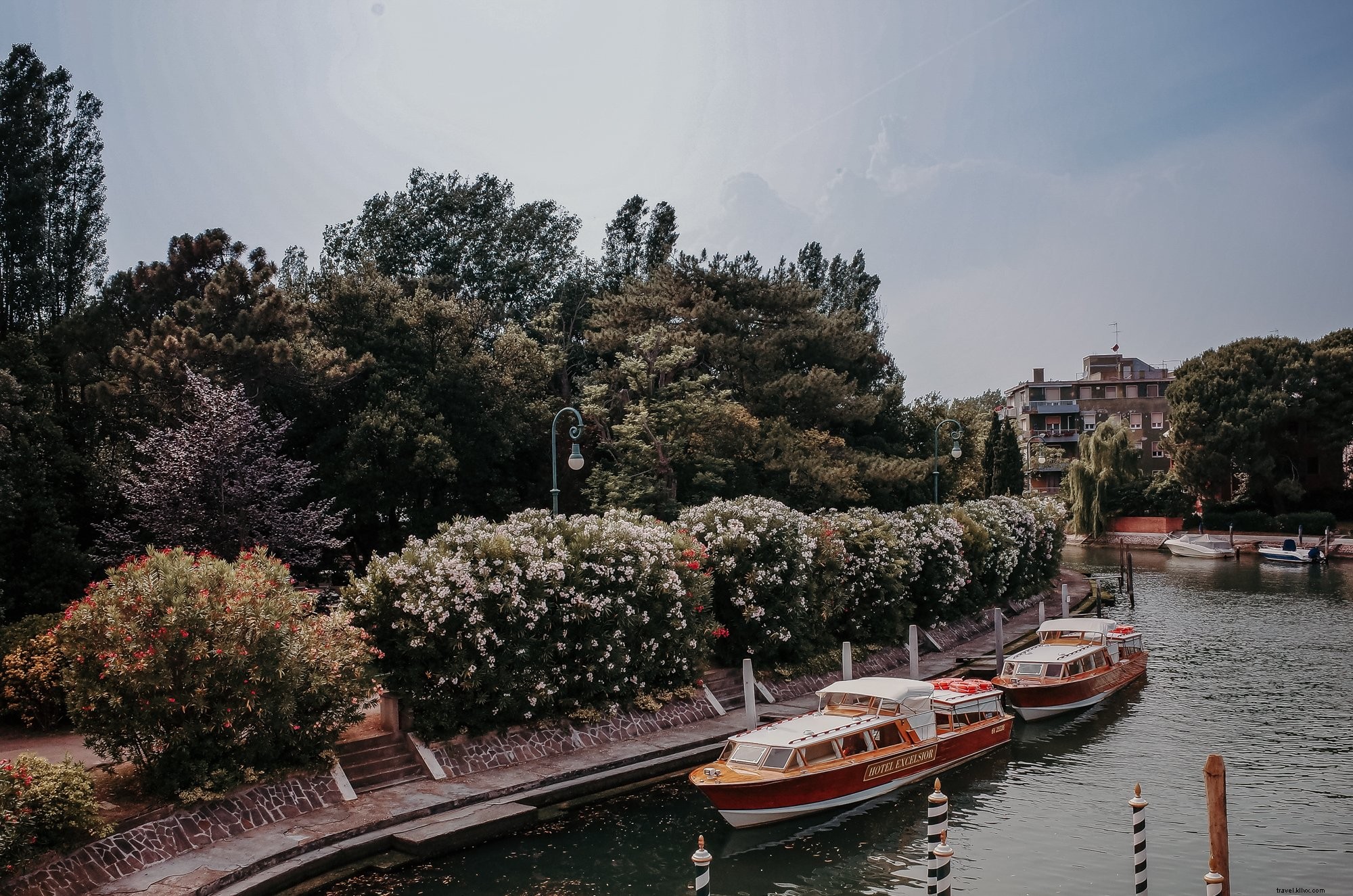 Dos barcos atracados en un río junto a árboles altos y frondosos Foto 