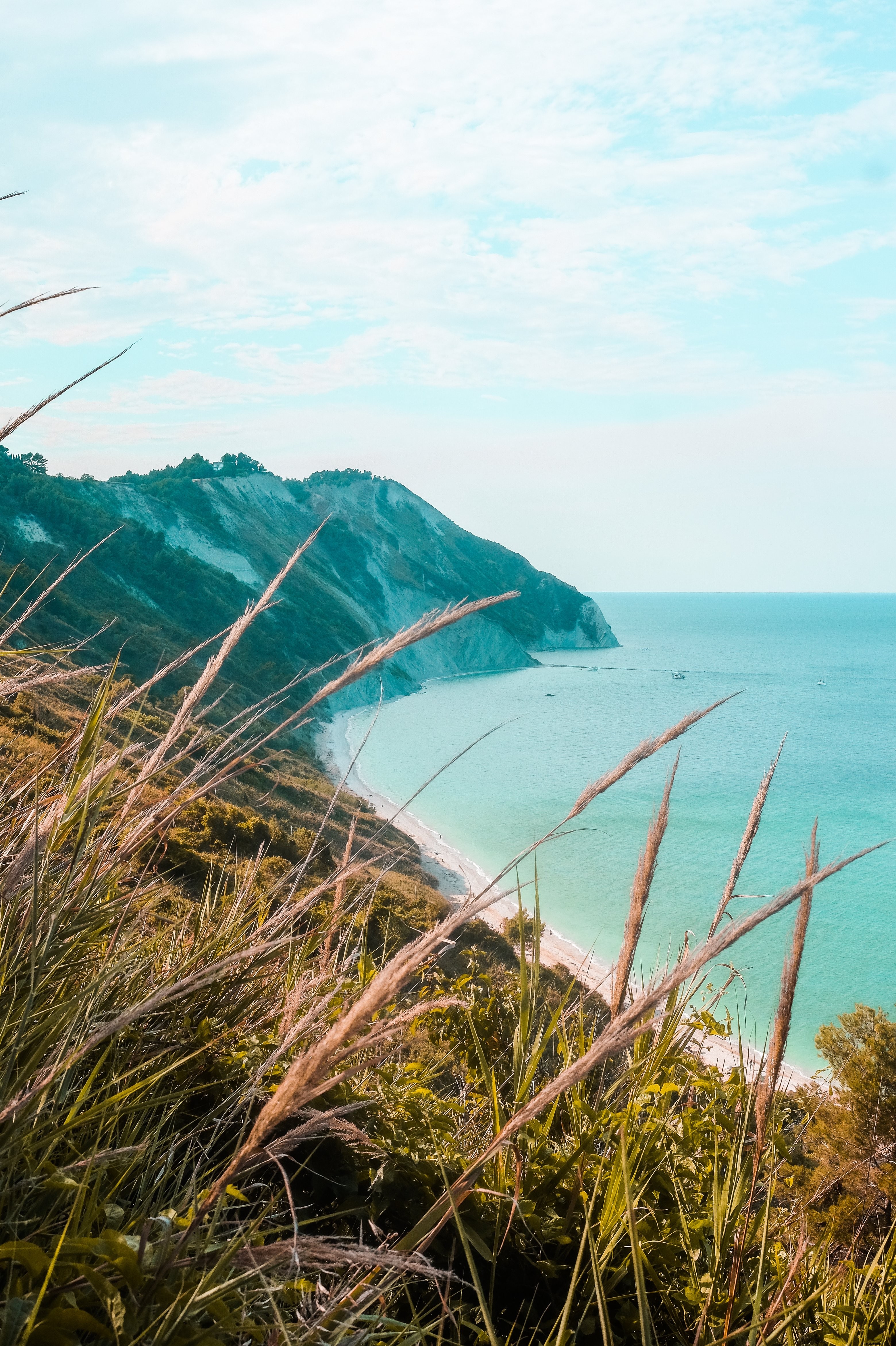 Feuillage sauvage sur la colline au sommet d une photo du littoral 