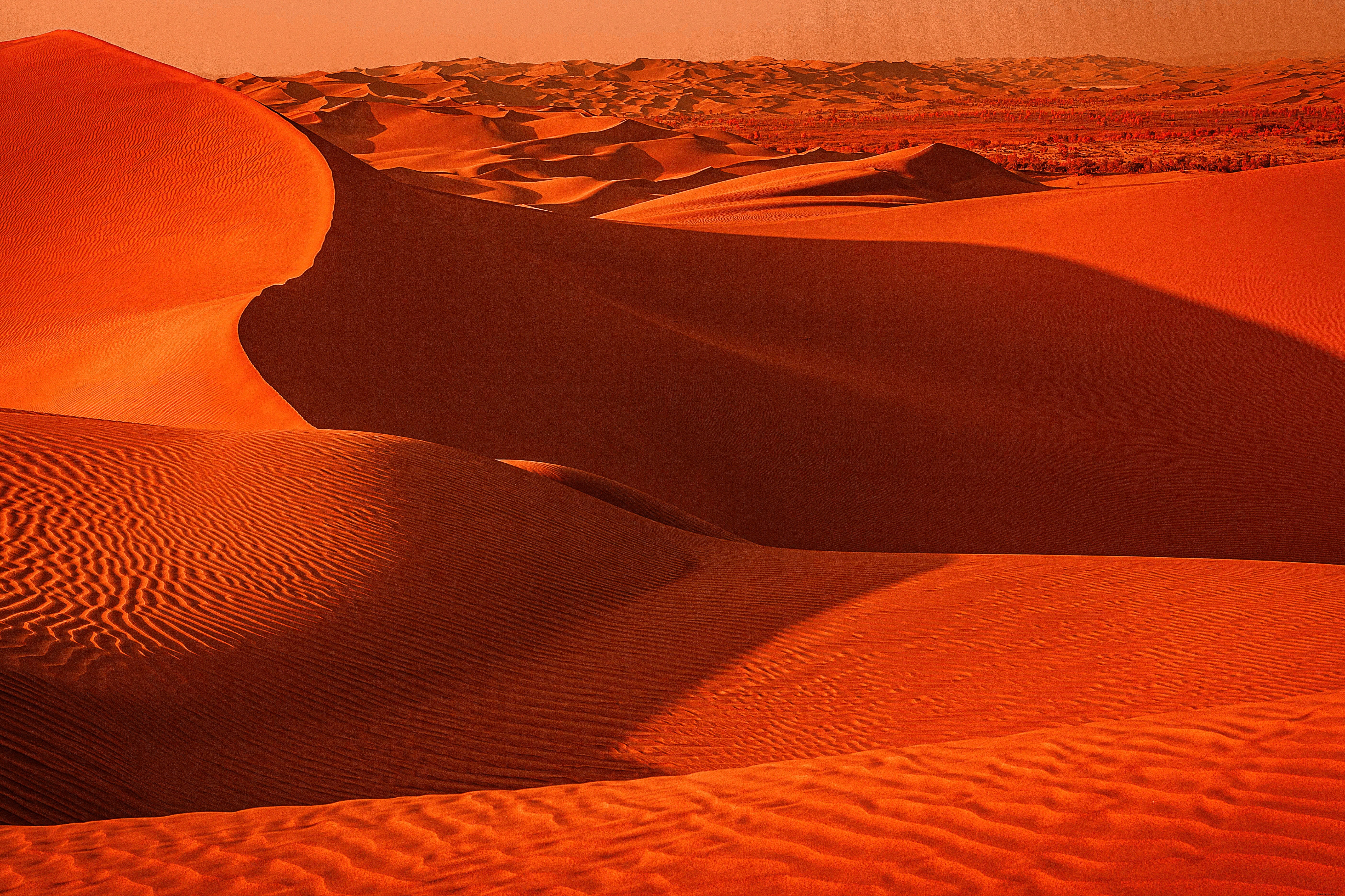 砂漠の砂の波状のテクスチャの風景写真 