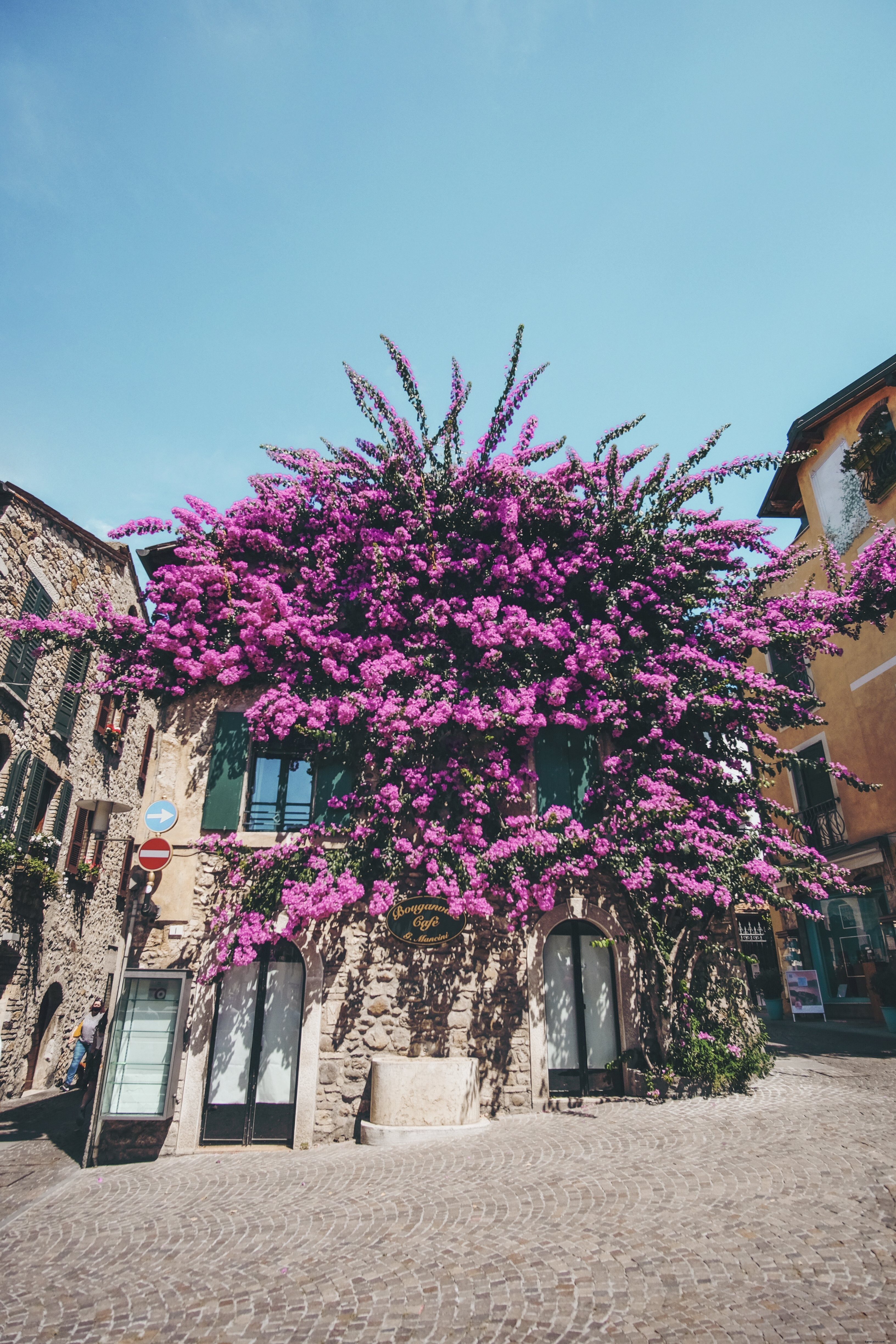 Edifício coberto com buganvílias em plena floração Foto 