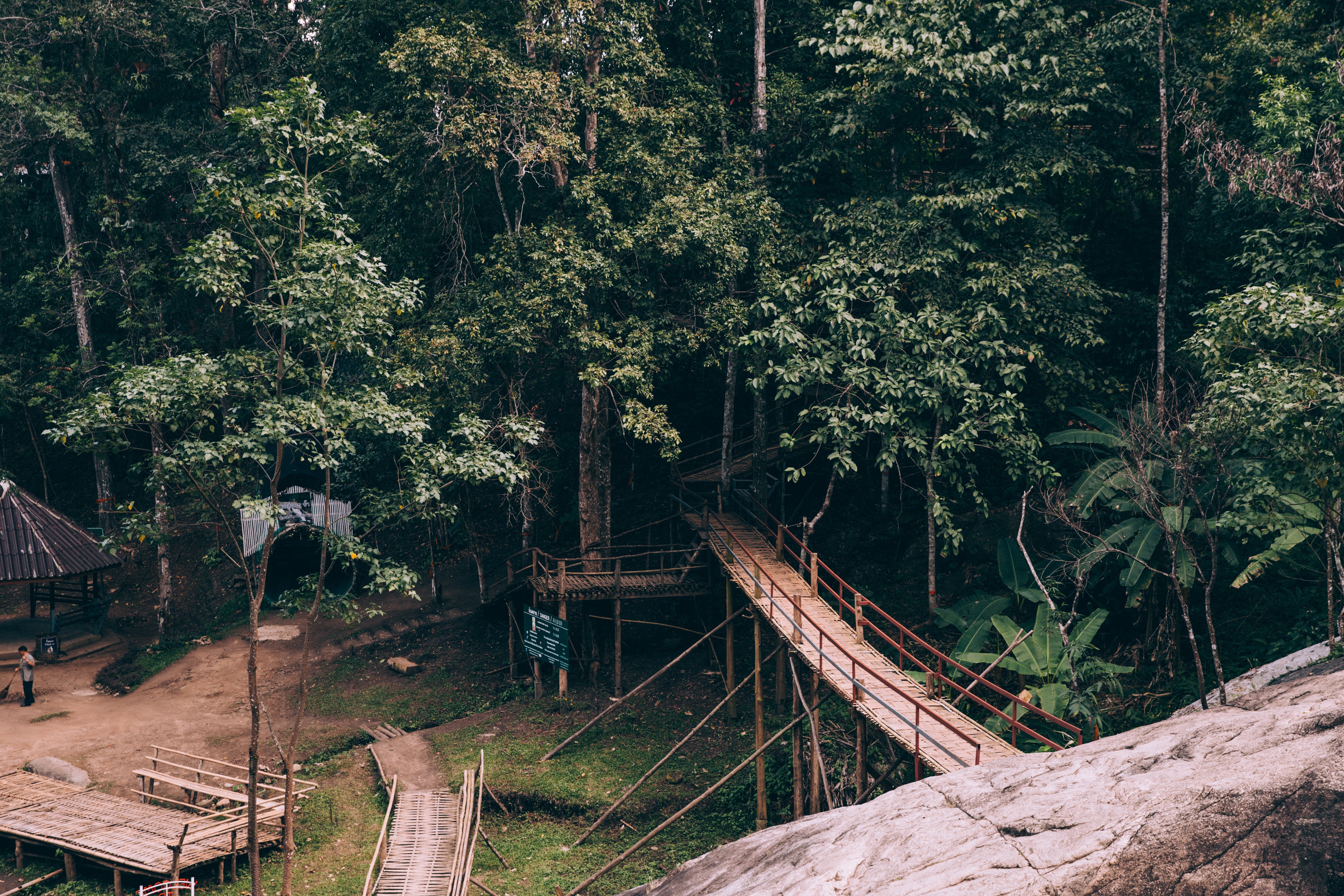 Foto de trilhas de madeira na floresta 