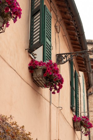 Edificio con cestas de petunias moradas en cada ventana Foto 