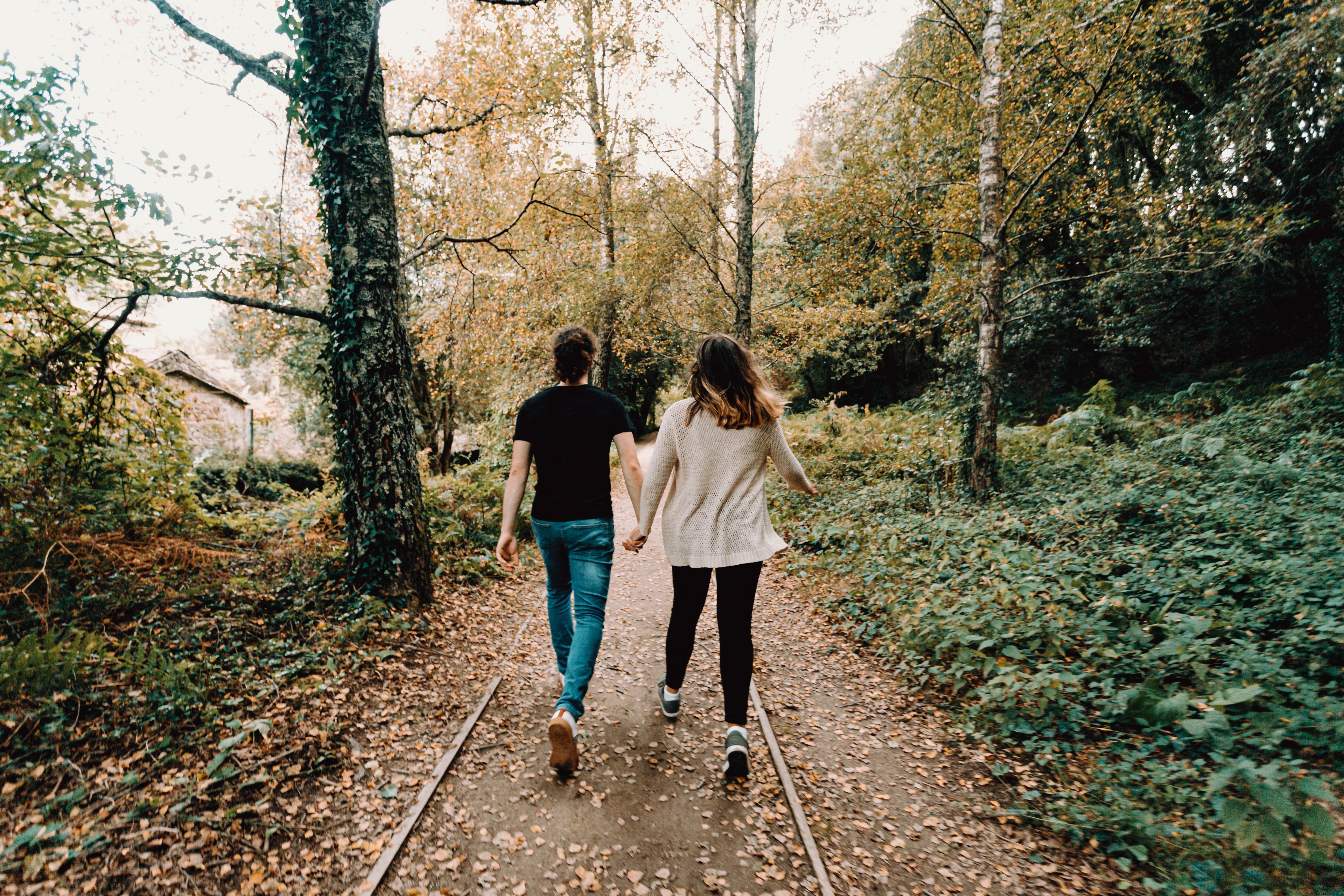 Couple se tient la main en marchant à travers des arbres verts et jaunes Photo 