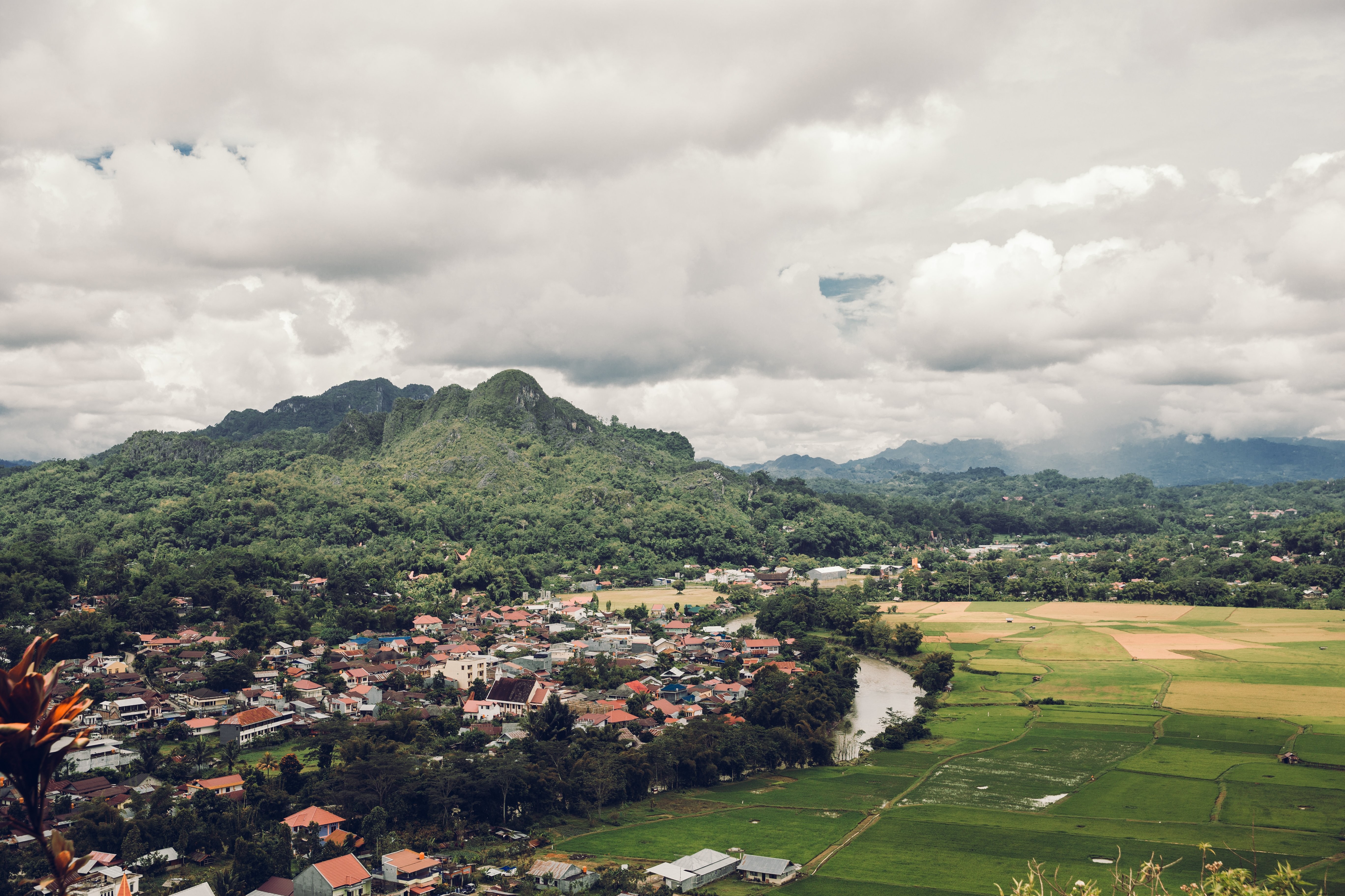 Lembah Perkebunan Padi Dikelilingi Pegunungan yang Subur Foto 