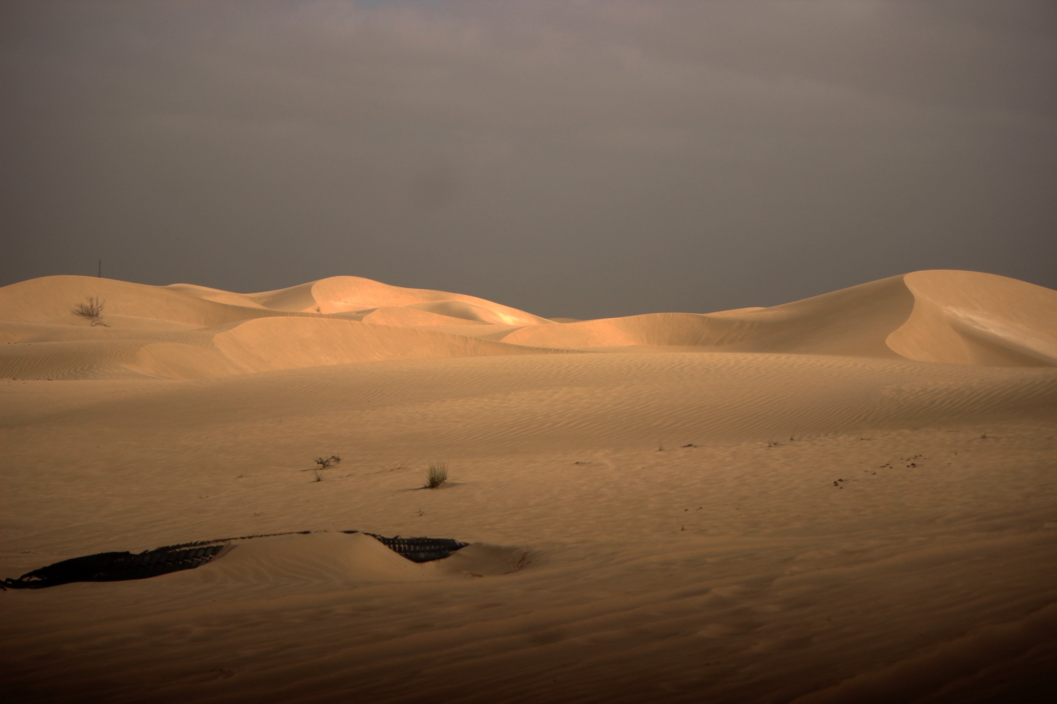 Dunas de arena del desierto contra un cielo tormentoso Foto 