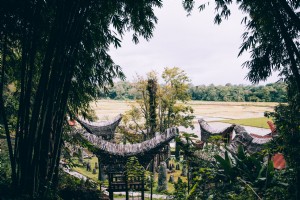 Una torreggiante foresta di bambù si affaccia sul tempio indonesiano Foto 