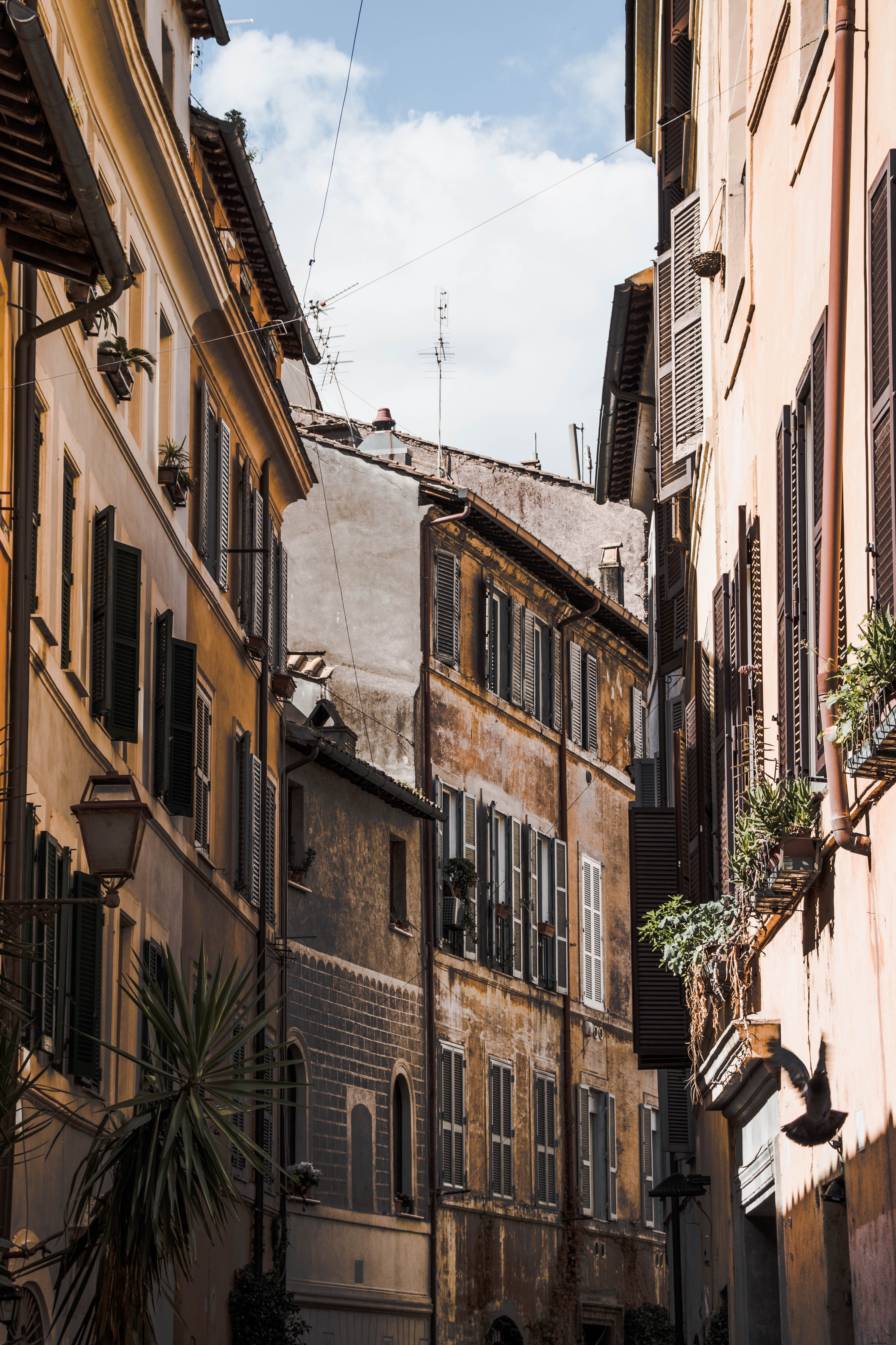 L appareil photo lève les yeux sur un bâtiment rustique avec une photo Windows ouverte 