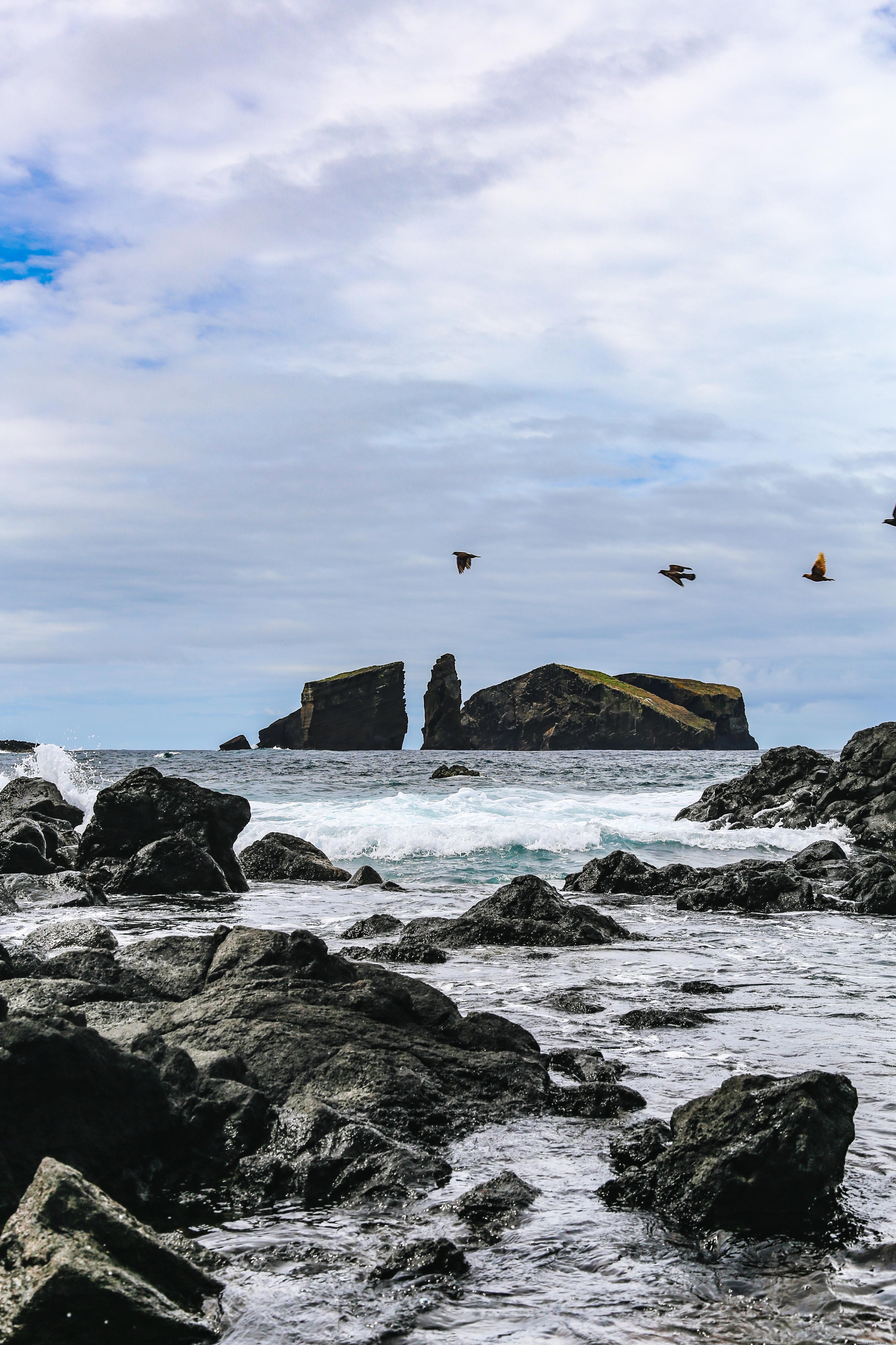 Spiagge rocciose con uccelli che volano in foto 