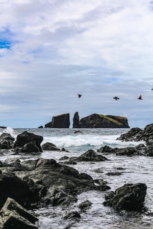 Orillas rocosas con pájaros volando por foto 