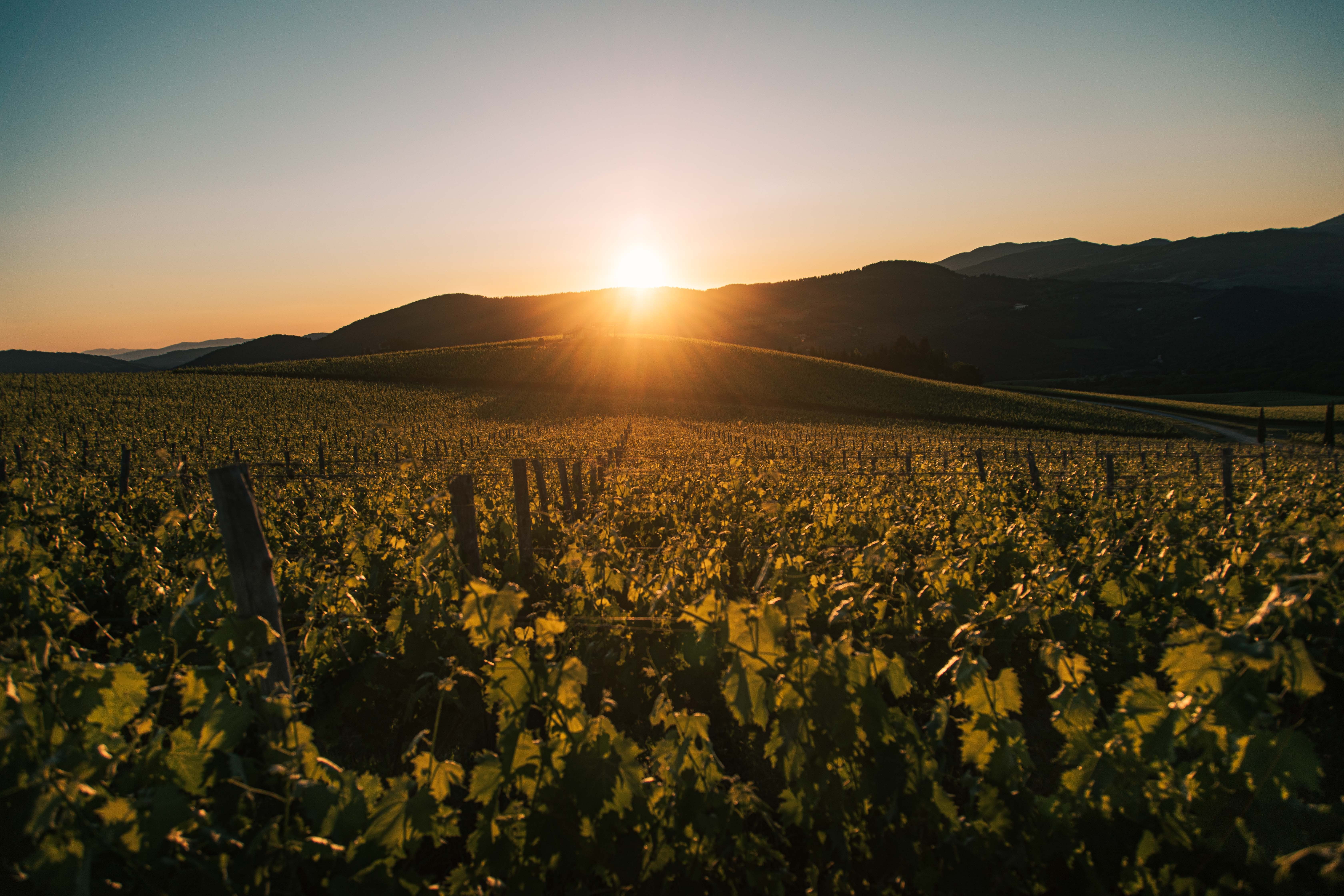 La luz del sol cayó debajo del horizonte detrás de las montañas Foto 