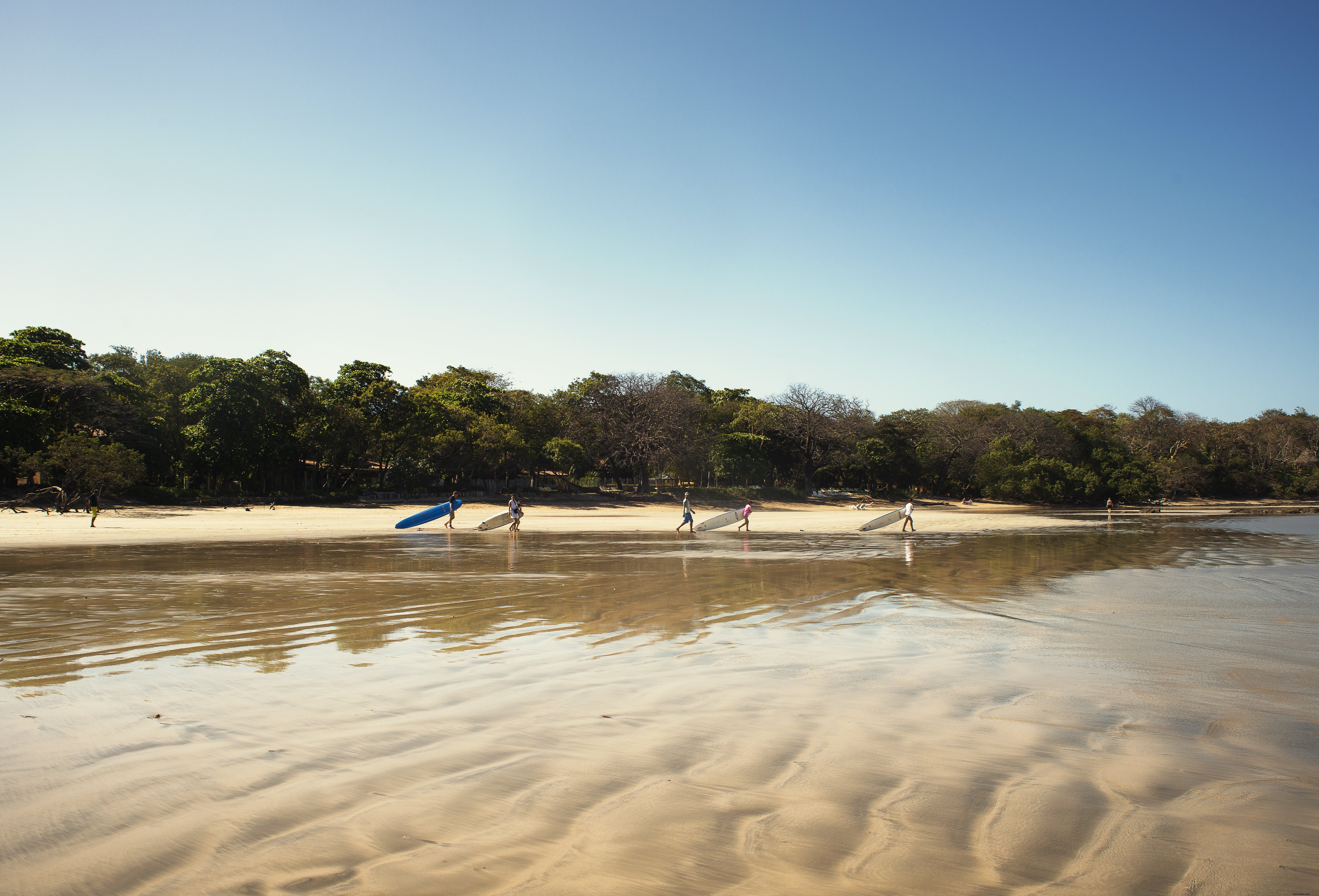 Foto de surfistas levam para a água 