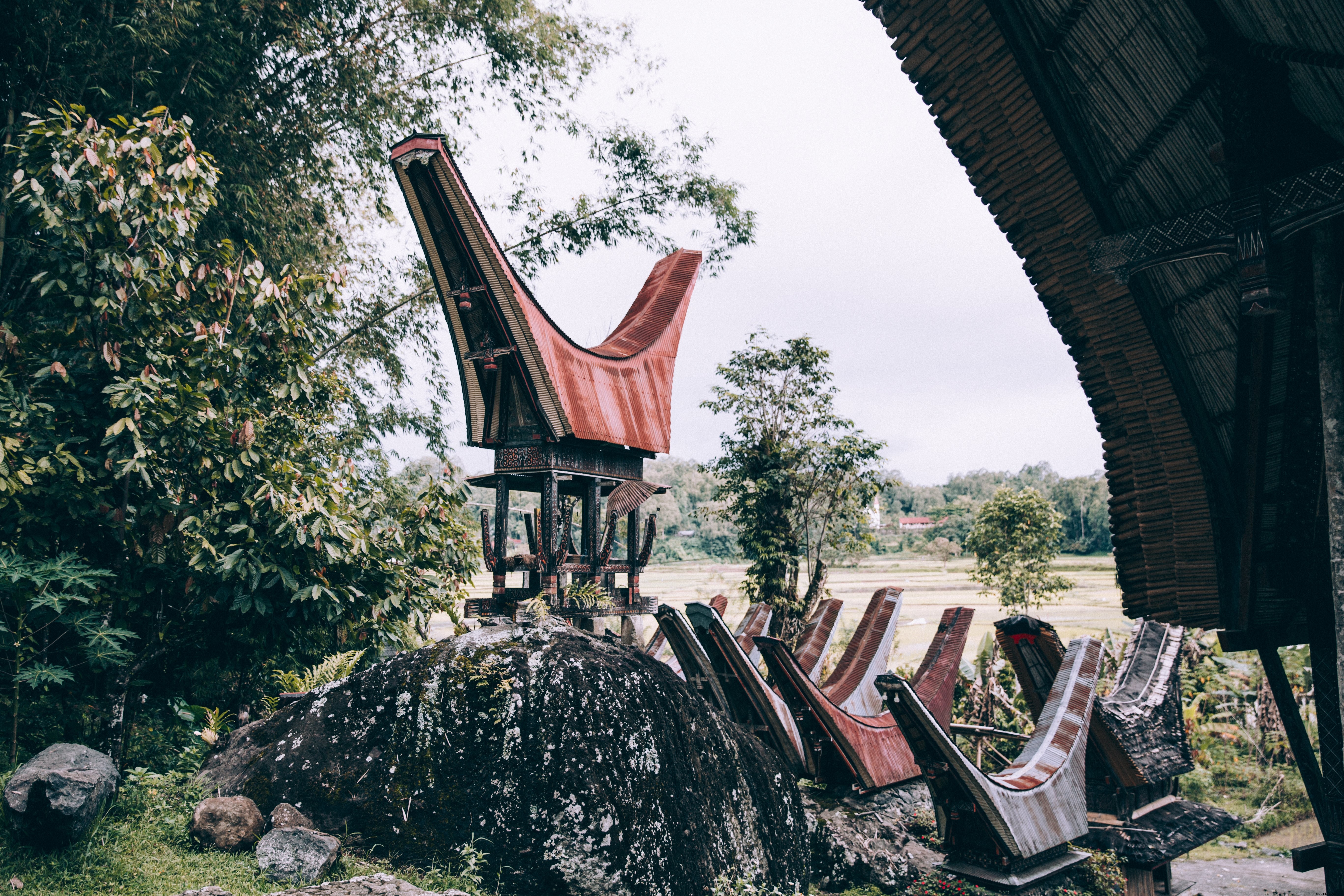 Foto de la exuberante selva de las fronteras de la arquitectura de Indonesia 