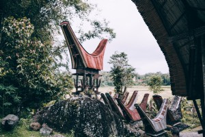 L architecture indonésienne frontières photo jungle luxuriante 