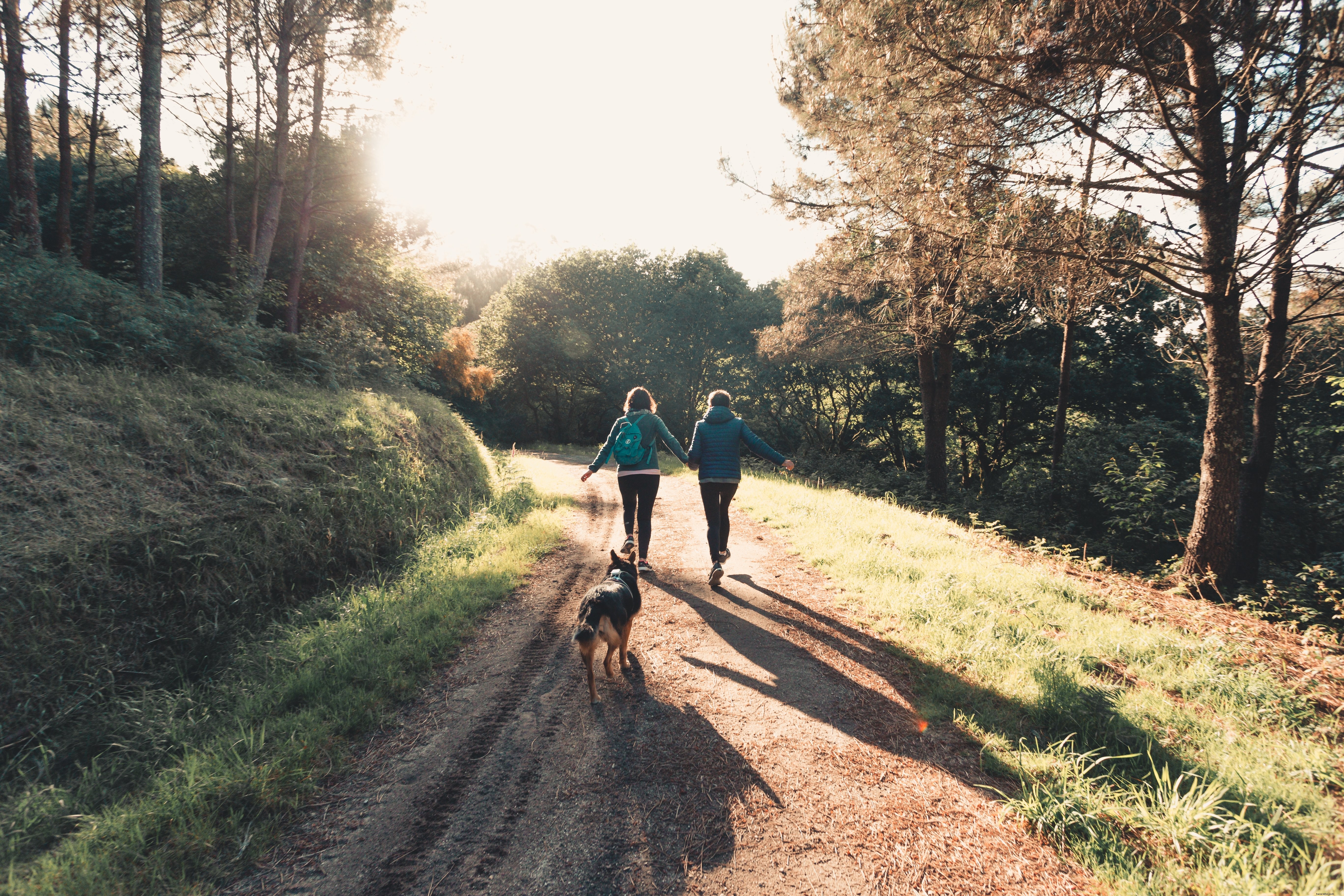 二人とその犬がハイキングトレイルの写真を歩く 